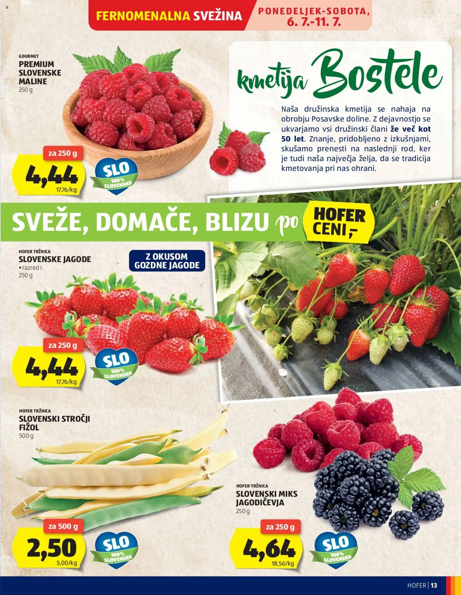 Hofer katalog