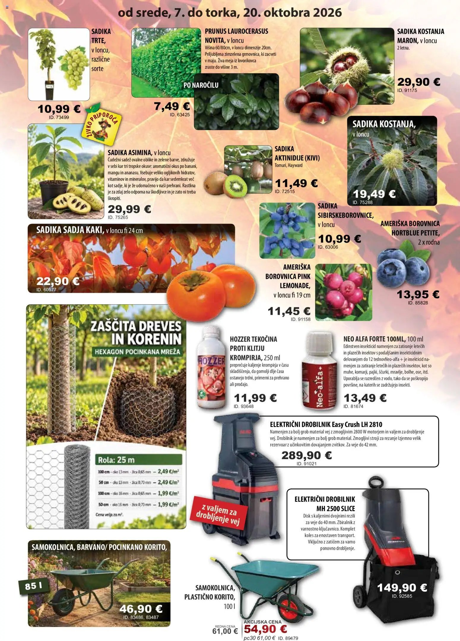 Živex katalog