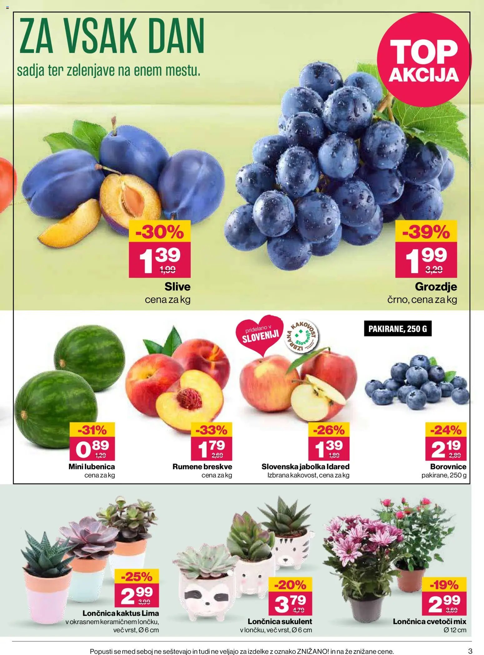 Mercator katalog