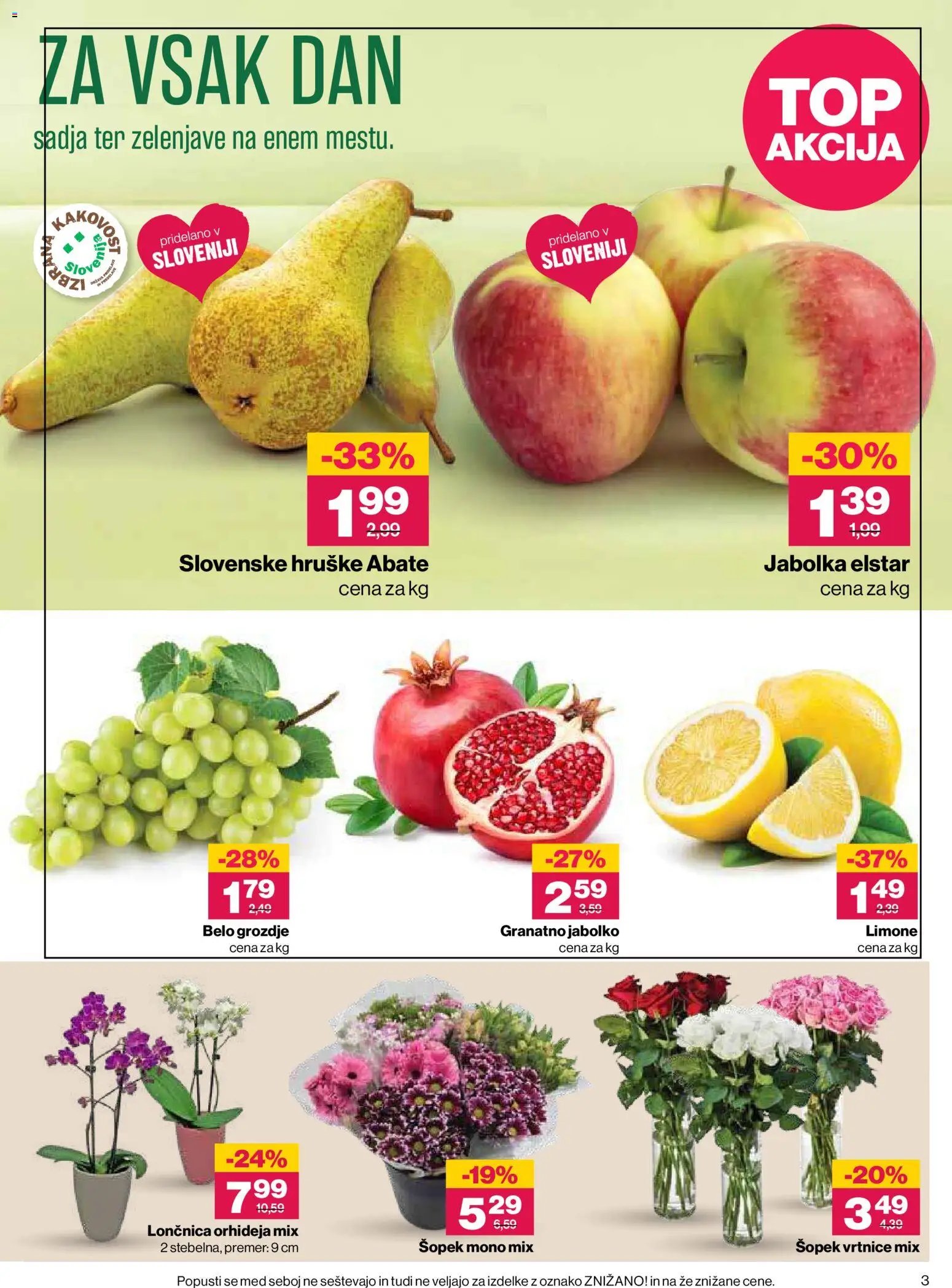 Mercator katalog