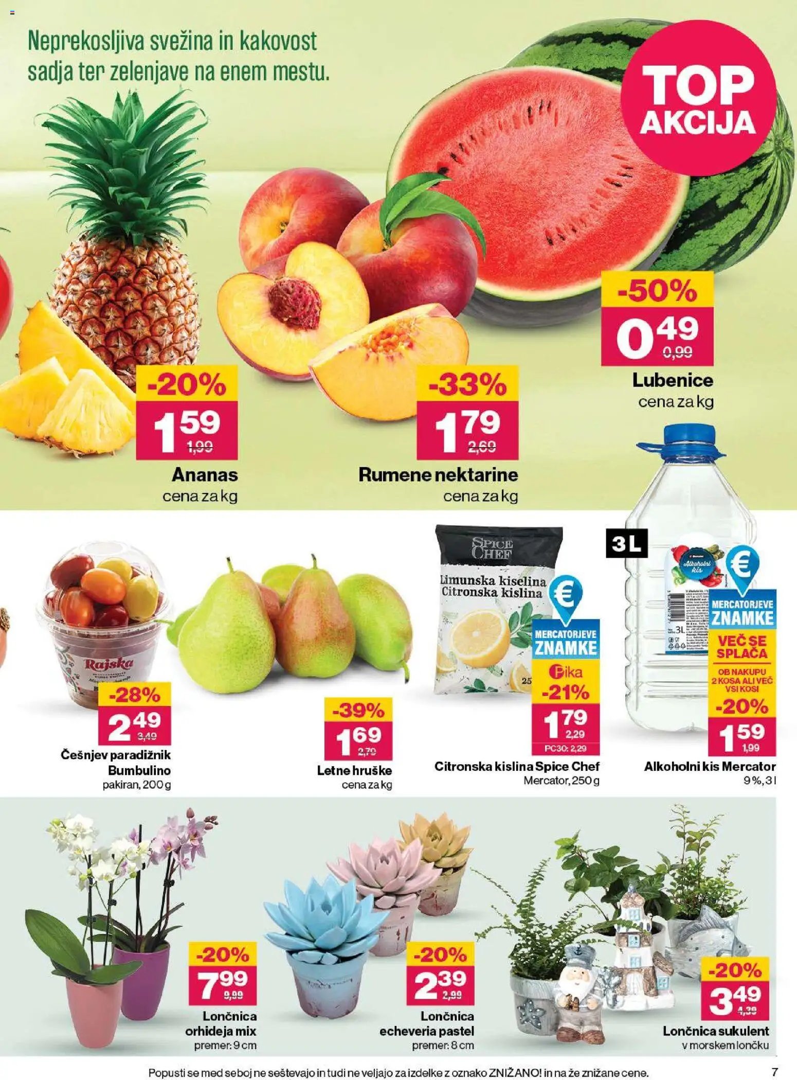 Mercator katalog