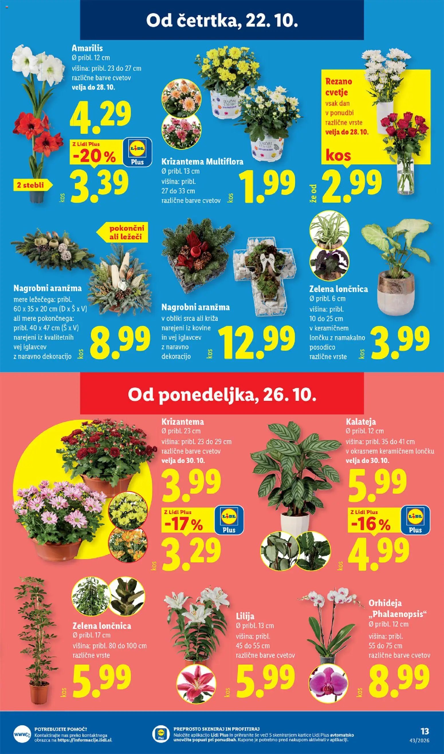 Lidl katalog