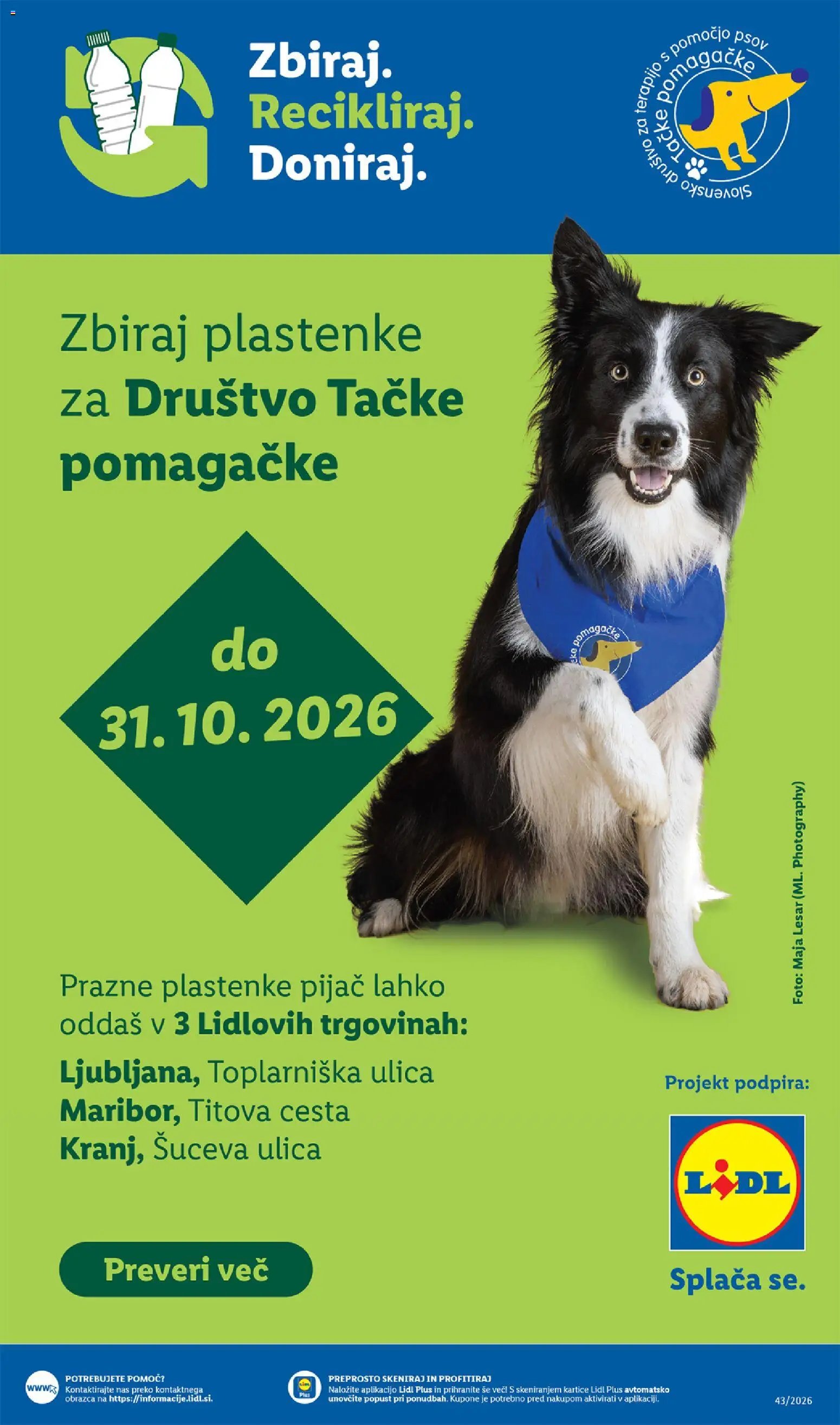 Lidl katalog