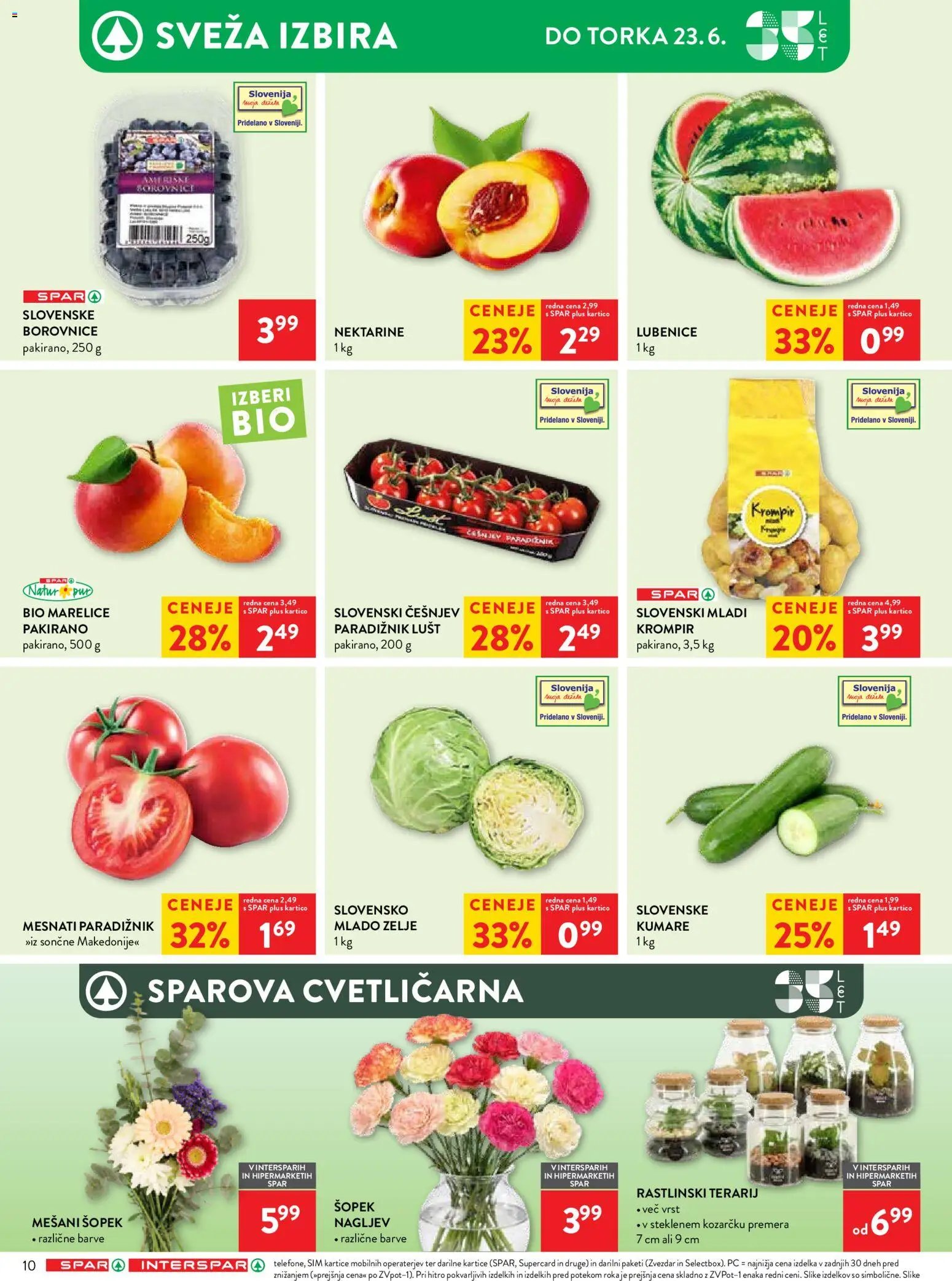 Spar katalog 25/26