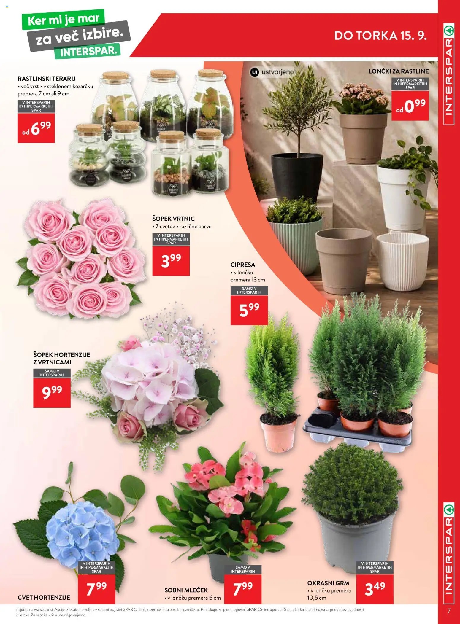 Spar katalog interspar 12/26