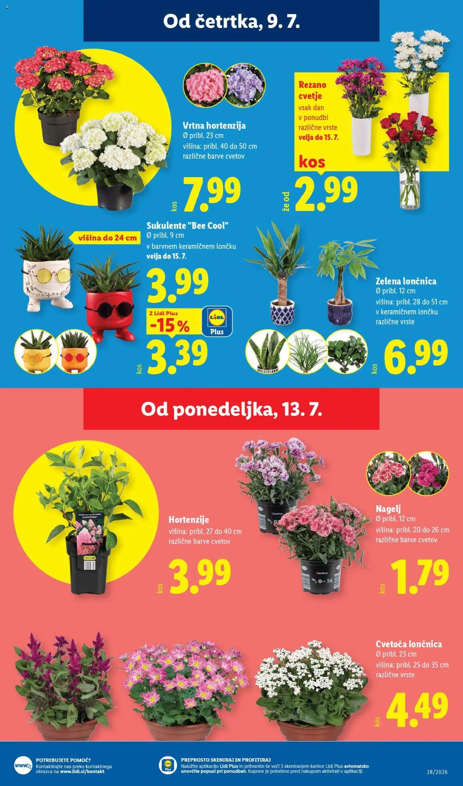 Lidl katalog