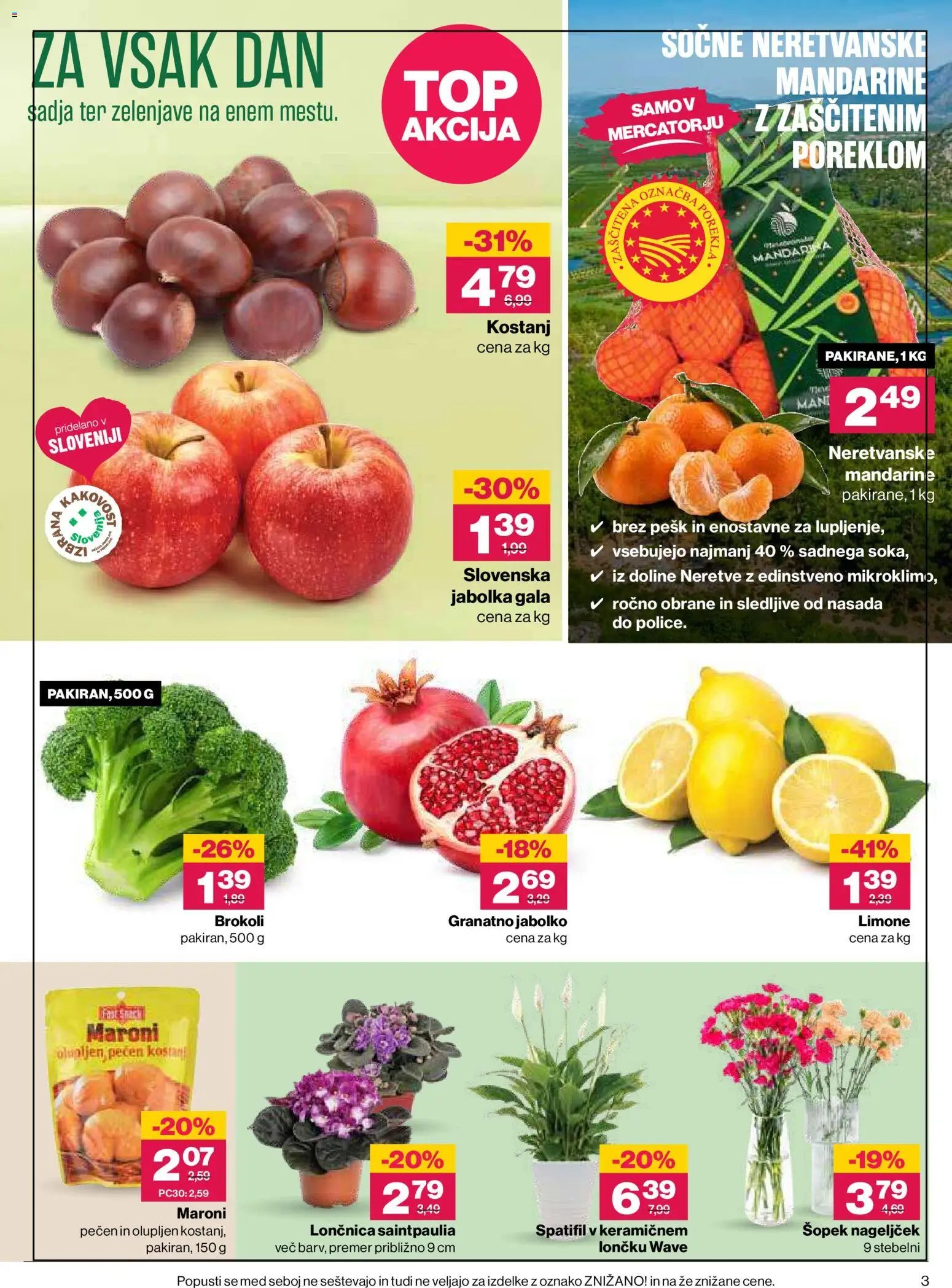 Mercator katalog