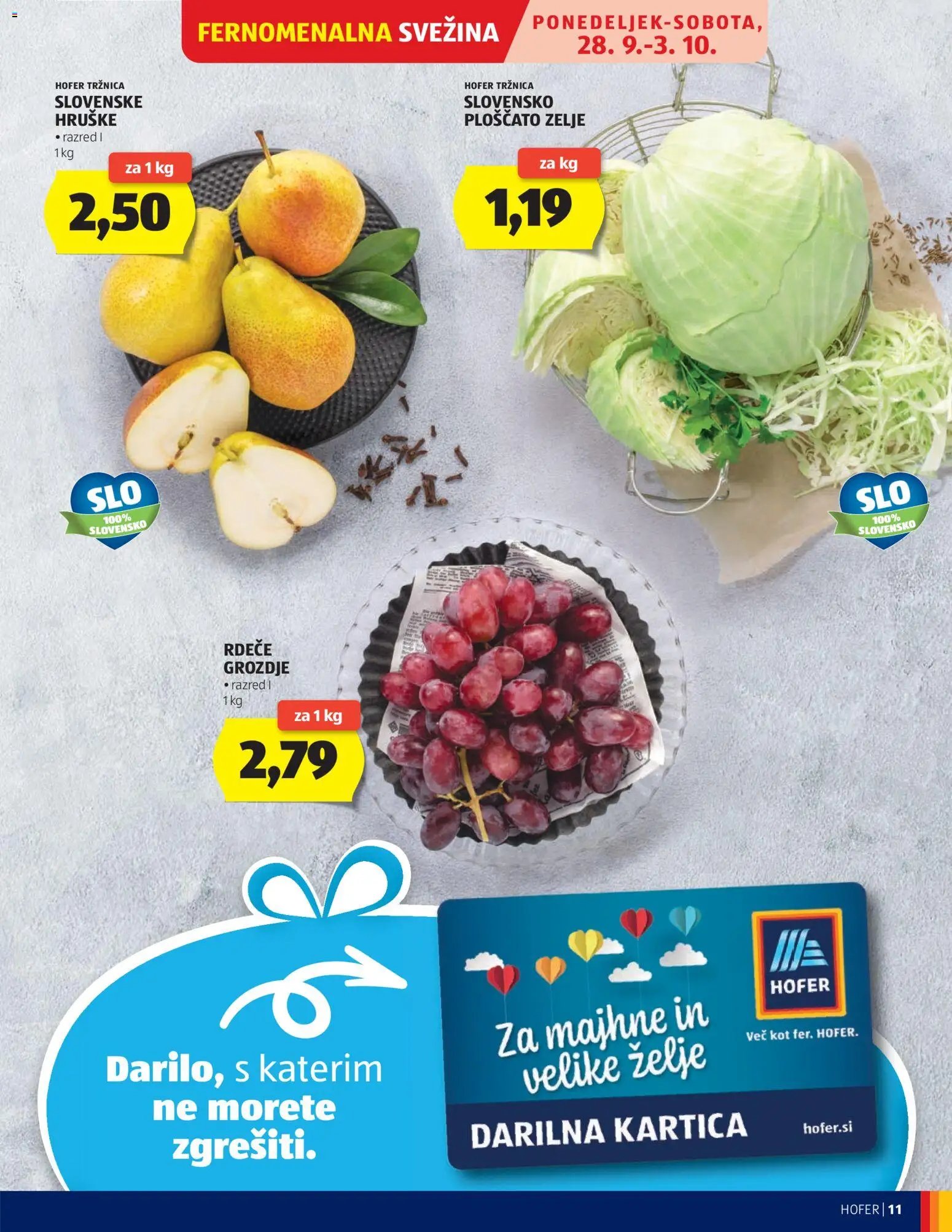 Hofer katalog