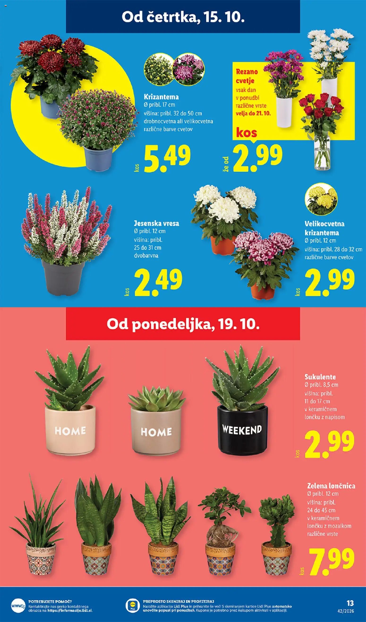 Lidl katalog