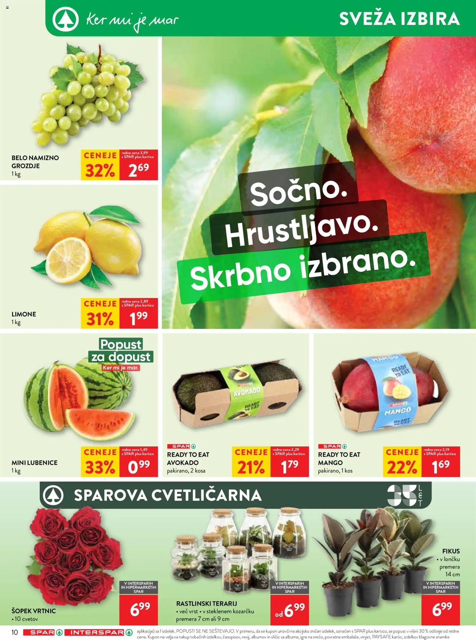 Spar katalog 29/26