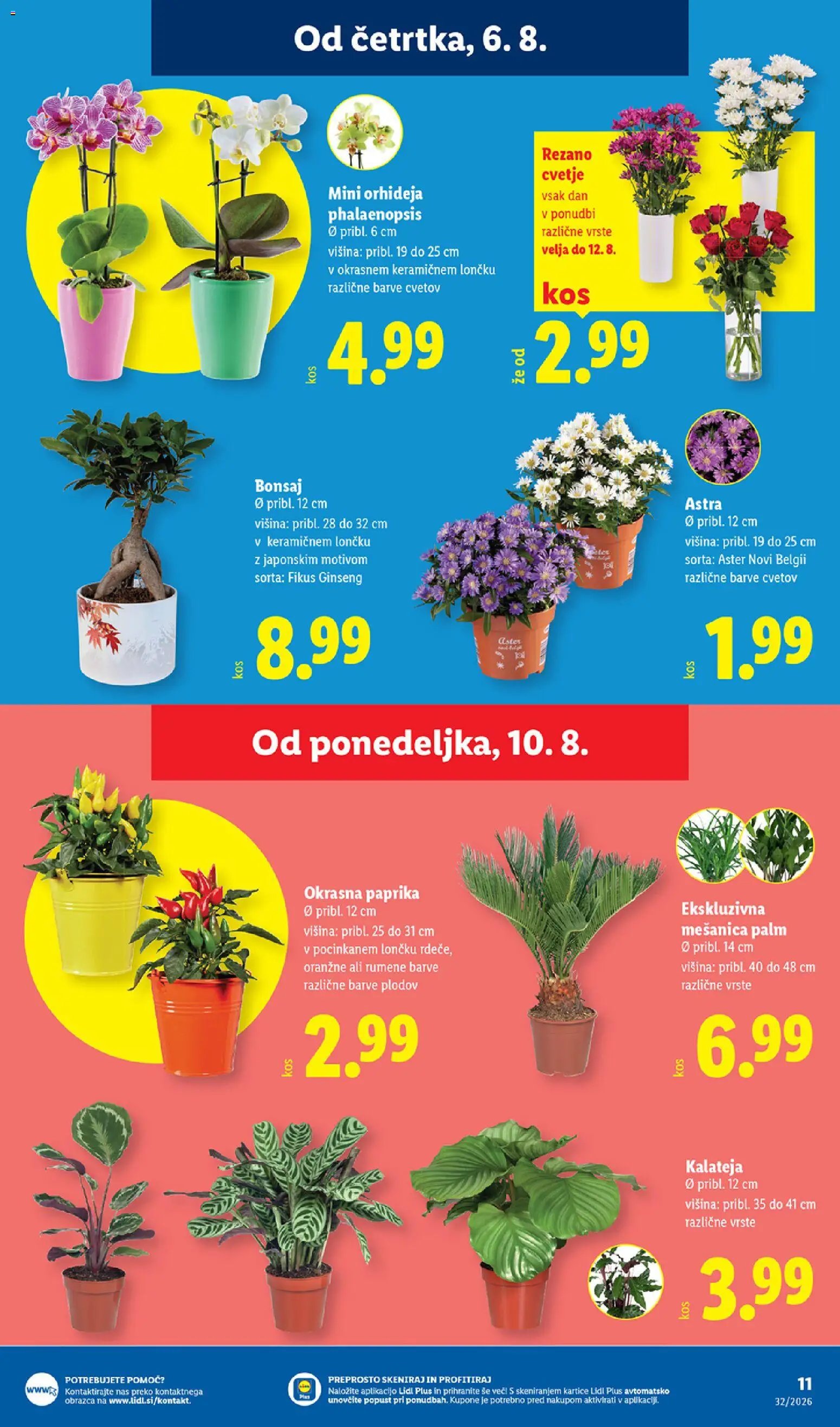Lidl katalog