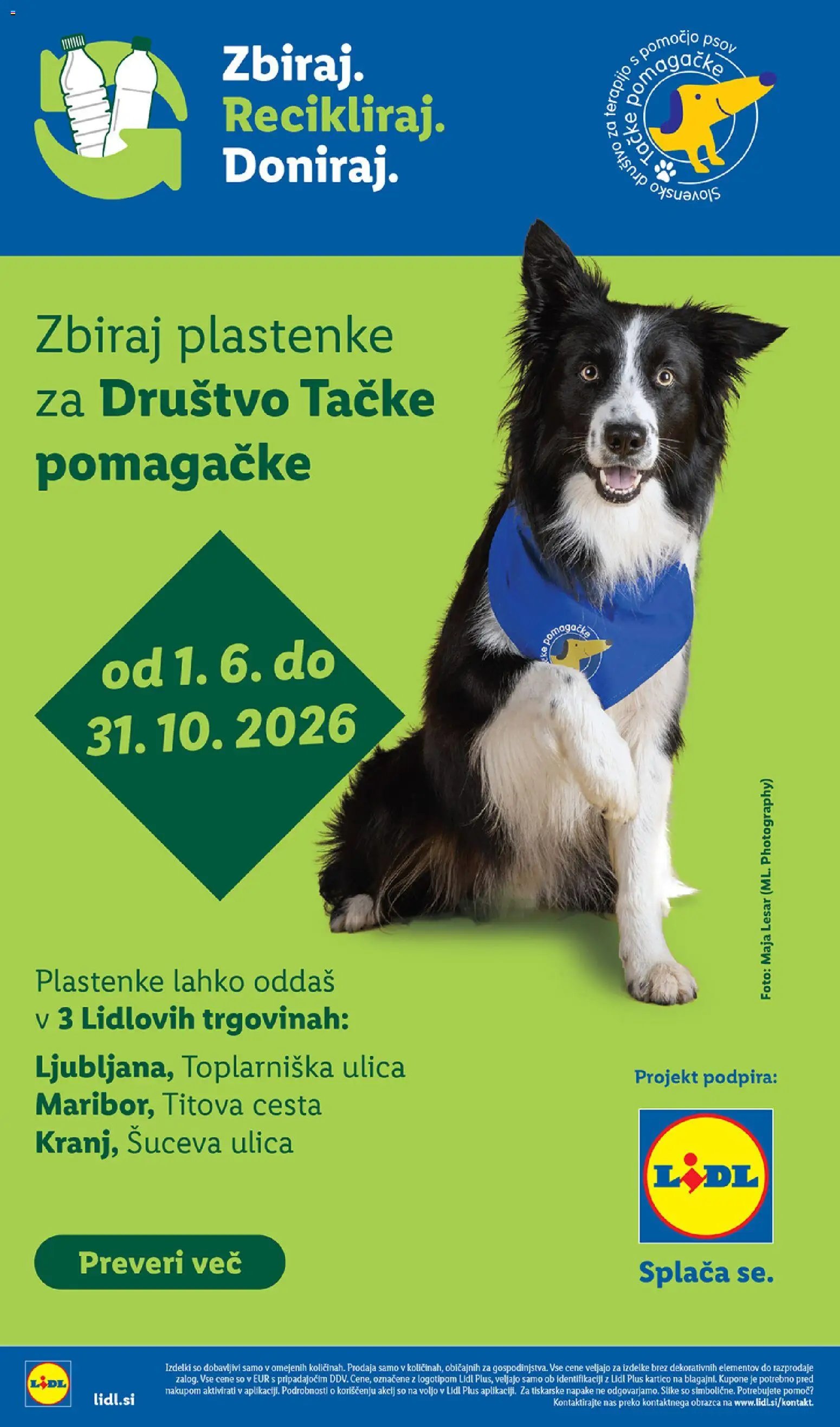 Lidl katalog