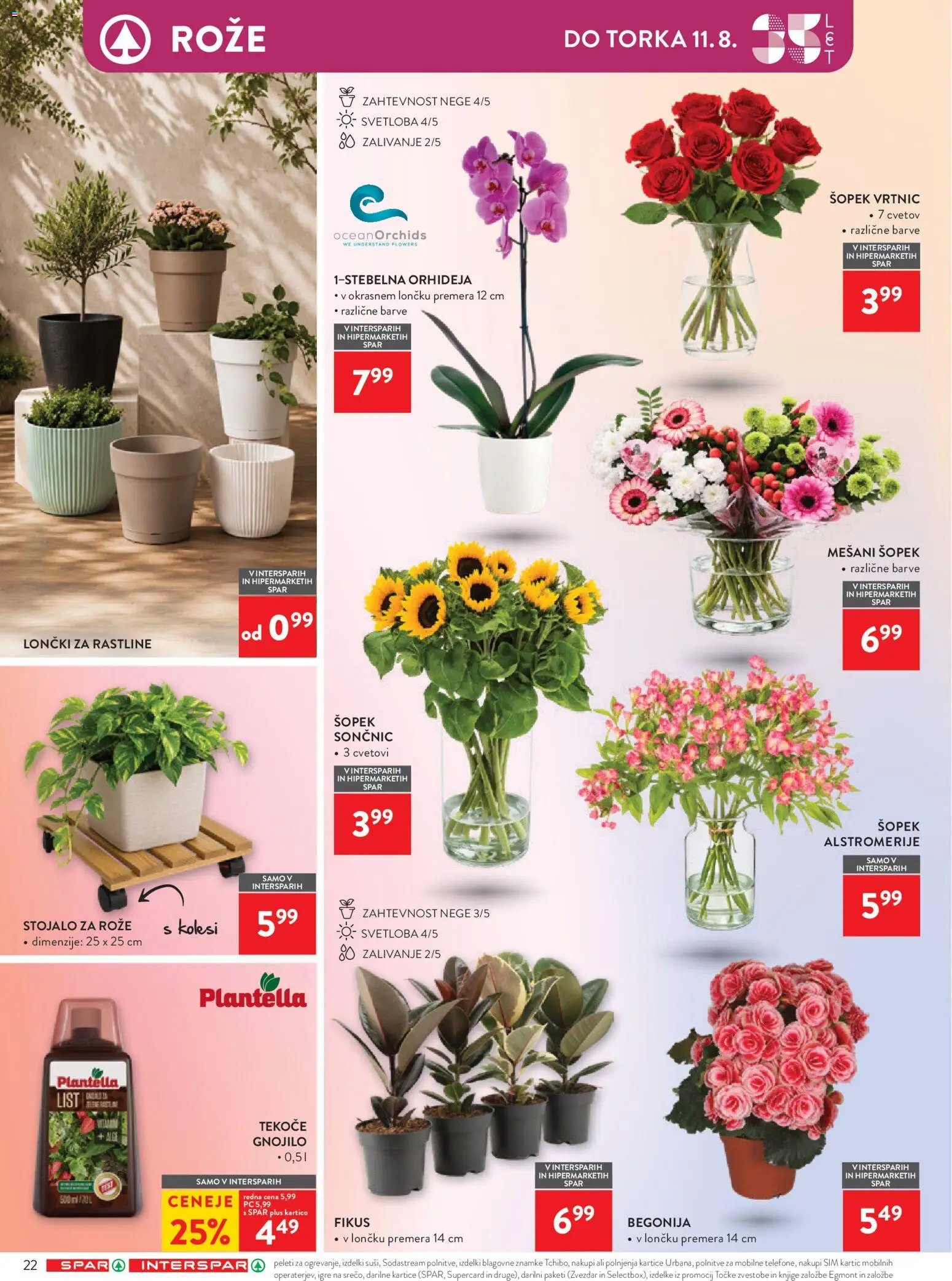 Spar katalog 31/26