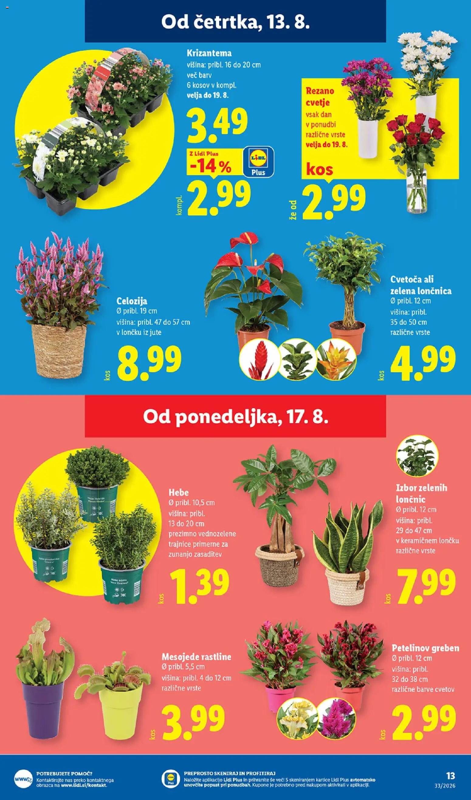 Lidl katalog