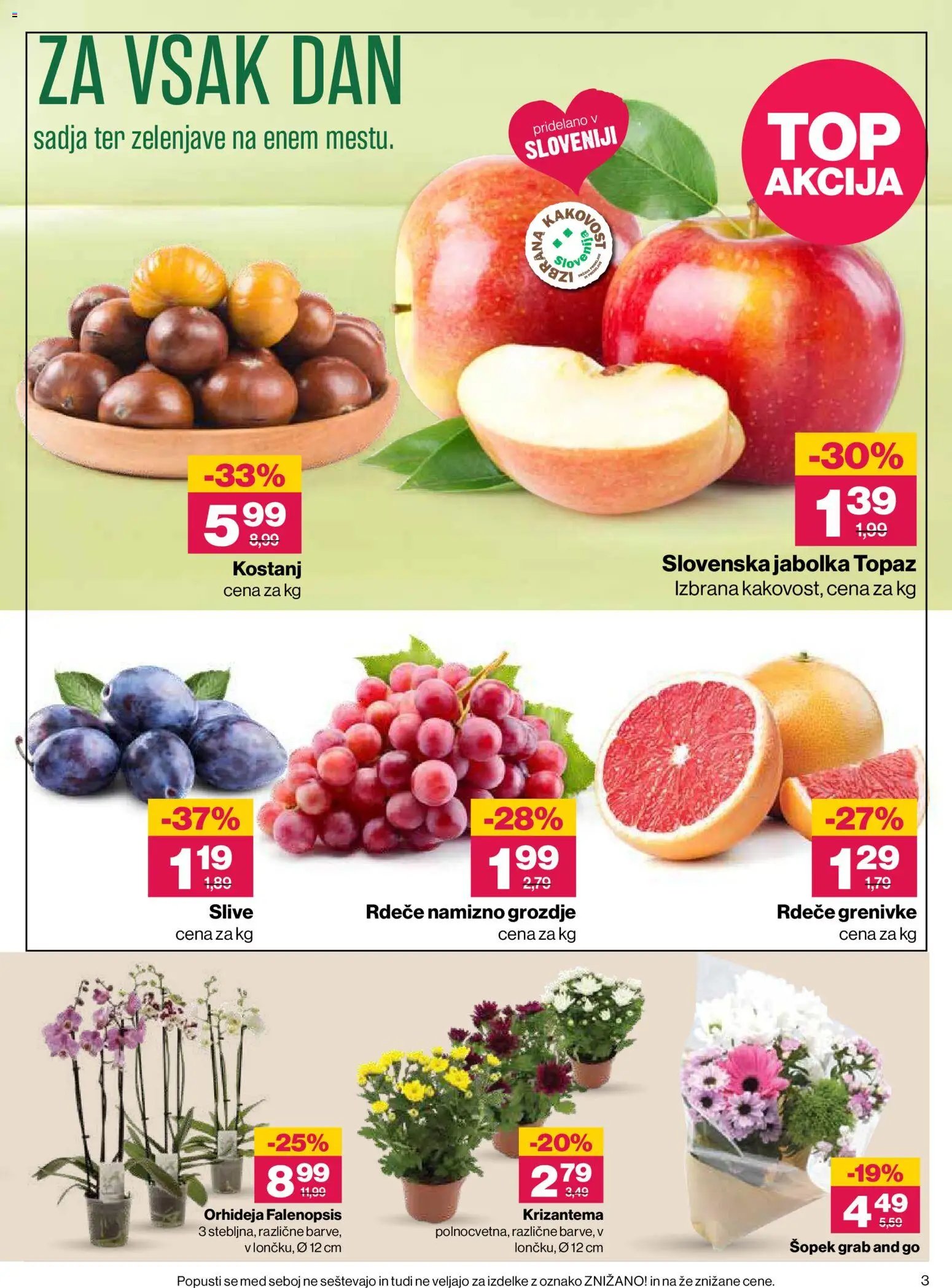 Mercator katalog