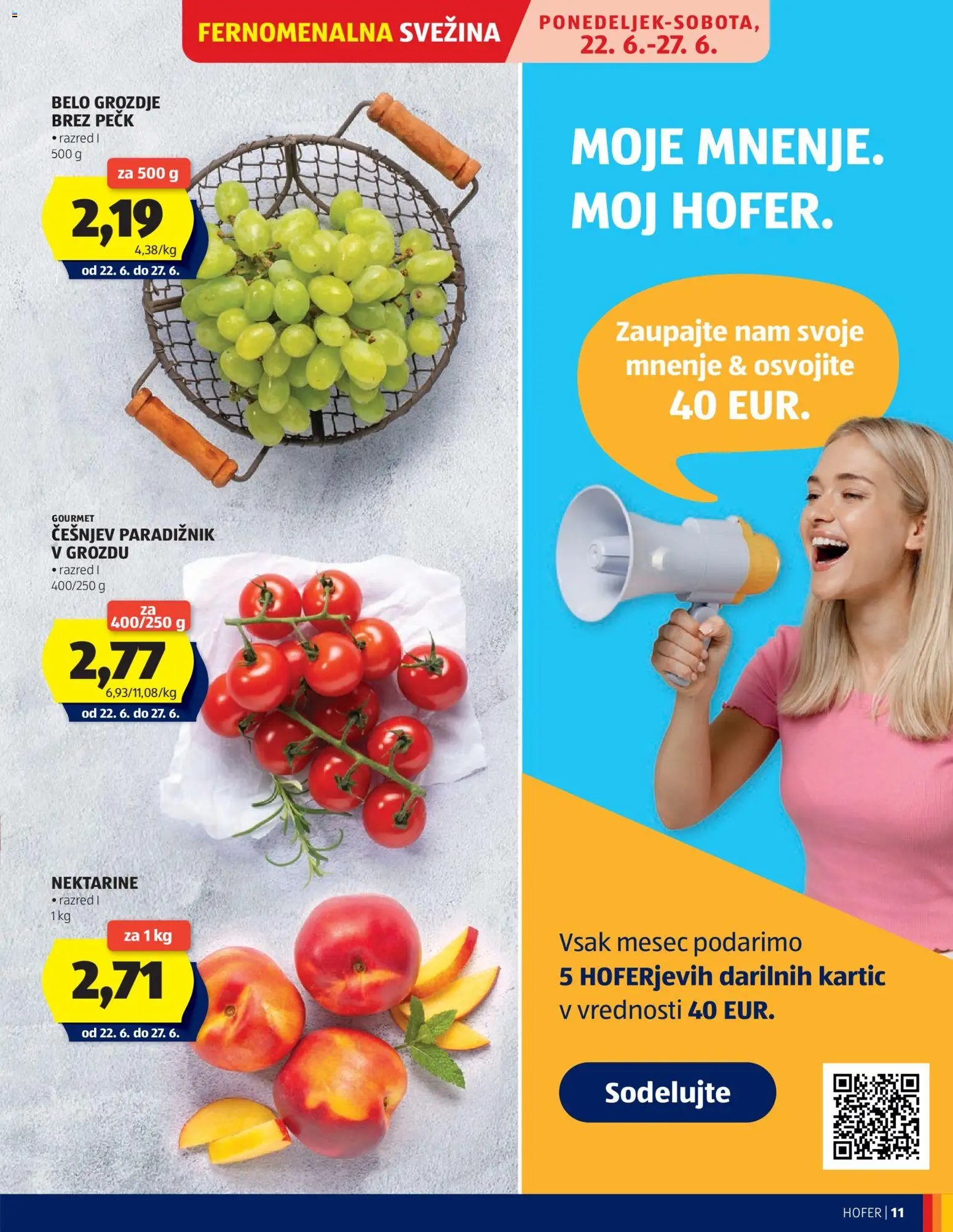 Hofer katalog
