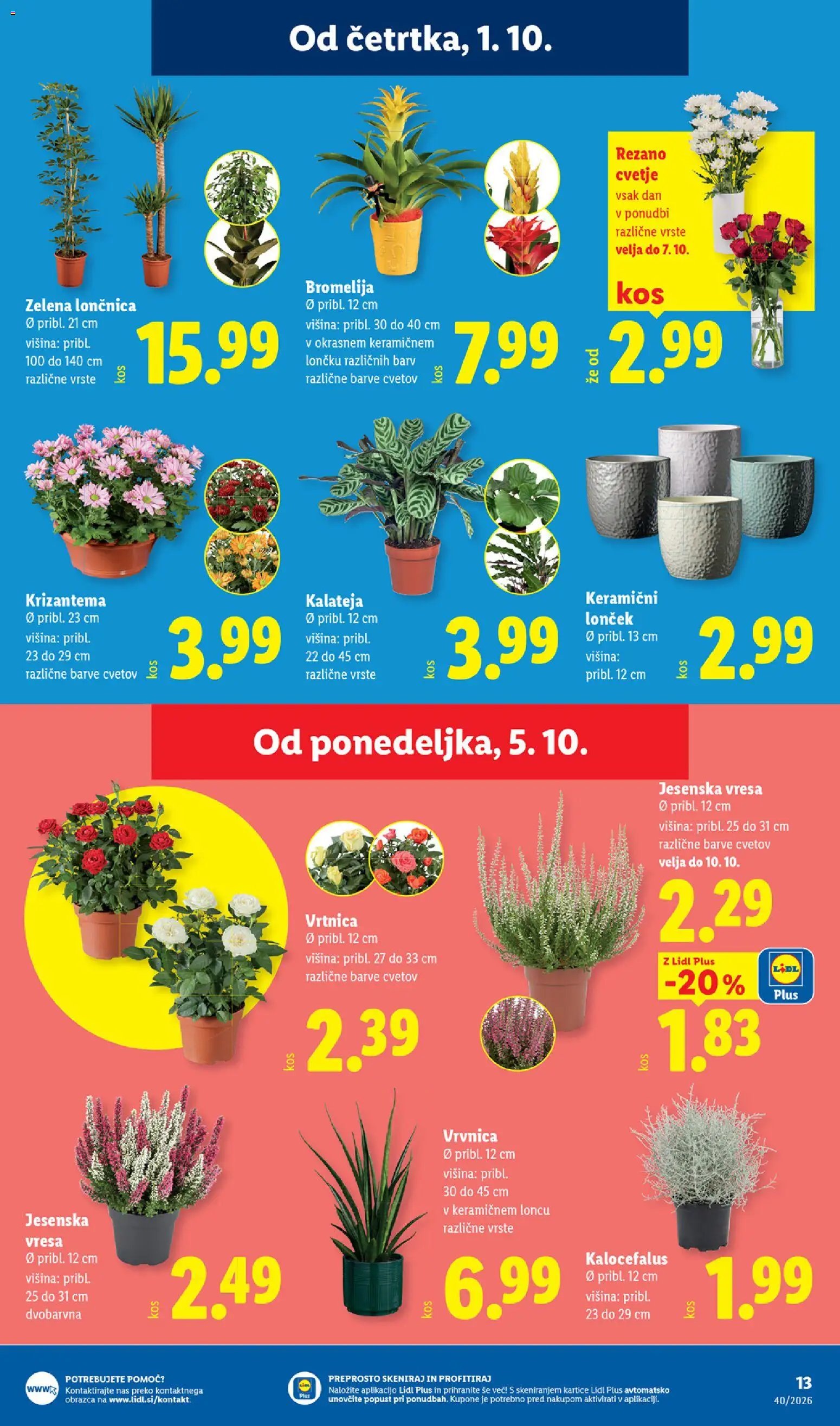 Lidl katalog