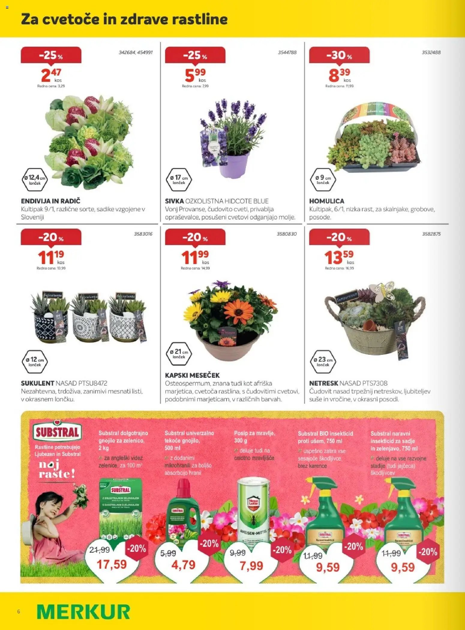 Merkur katalog