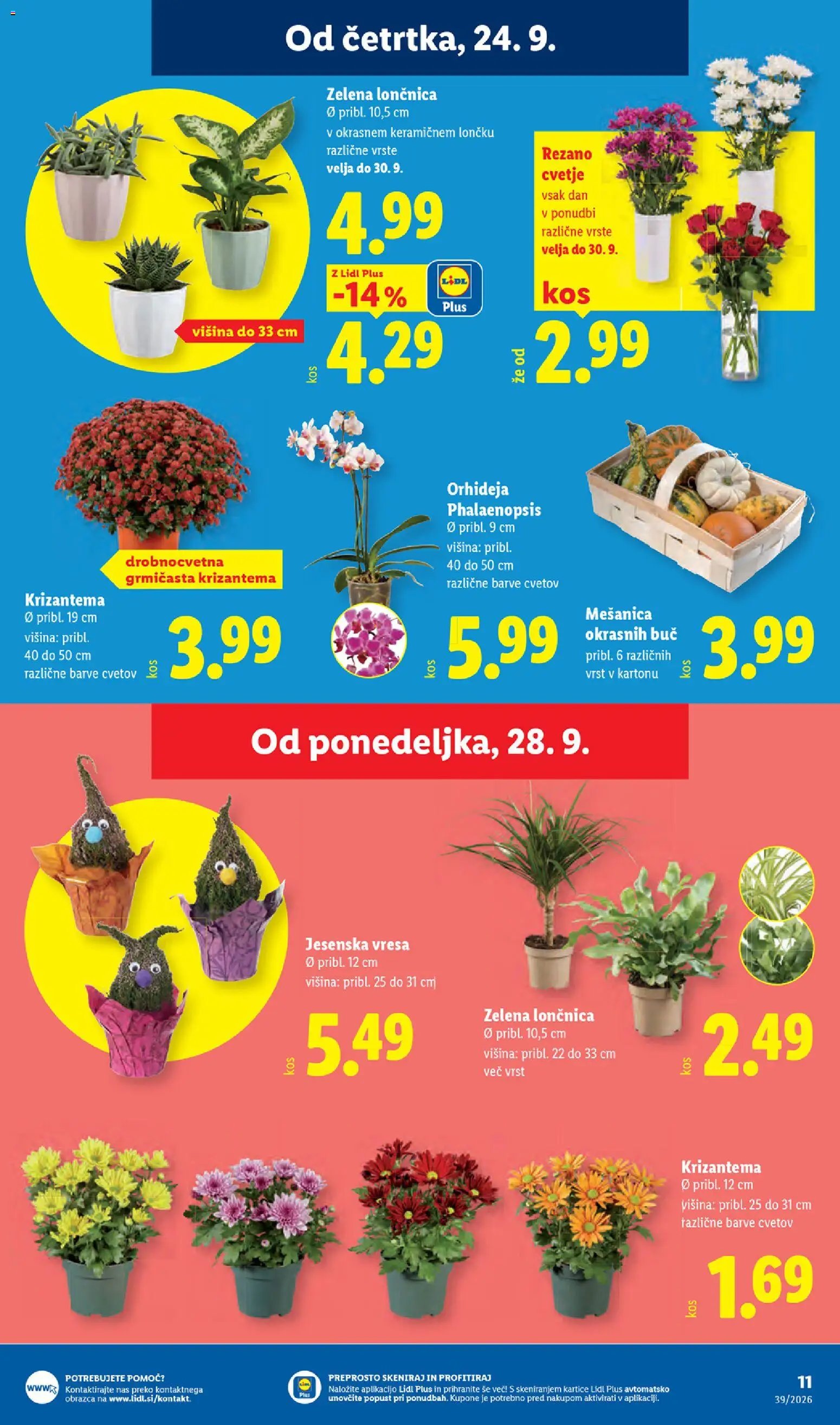 Lidl katalog