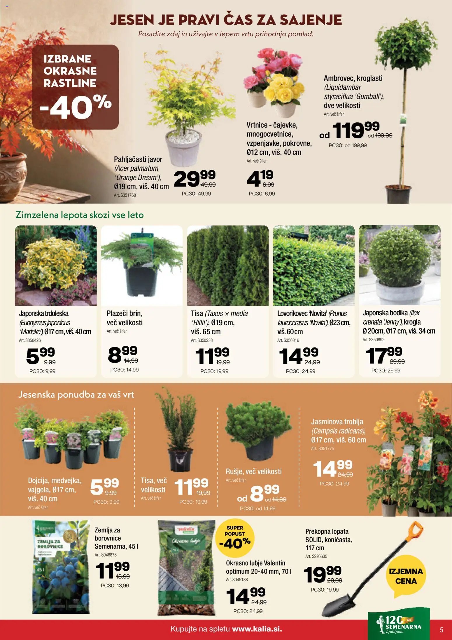 Kalia katalog