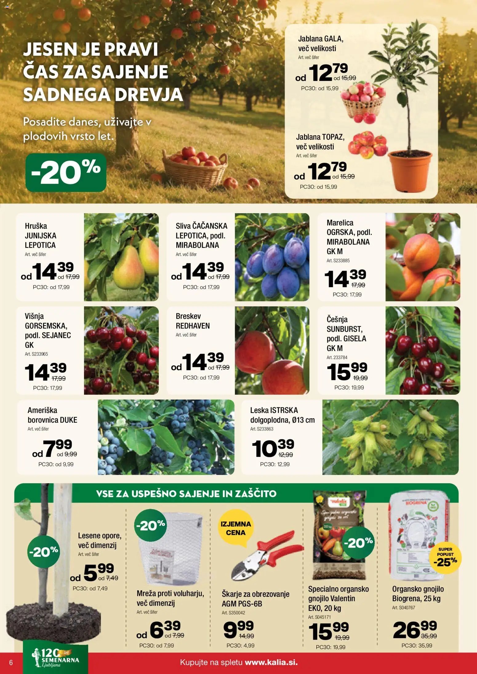 Kalia katalog