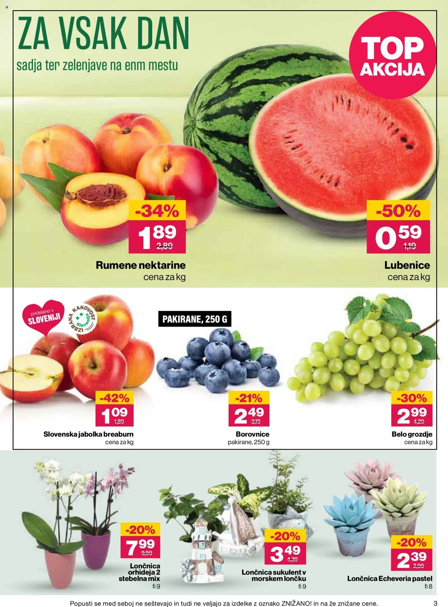 Mercator katalog