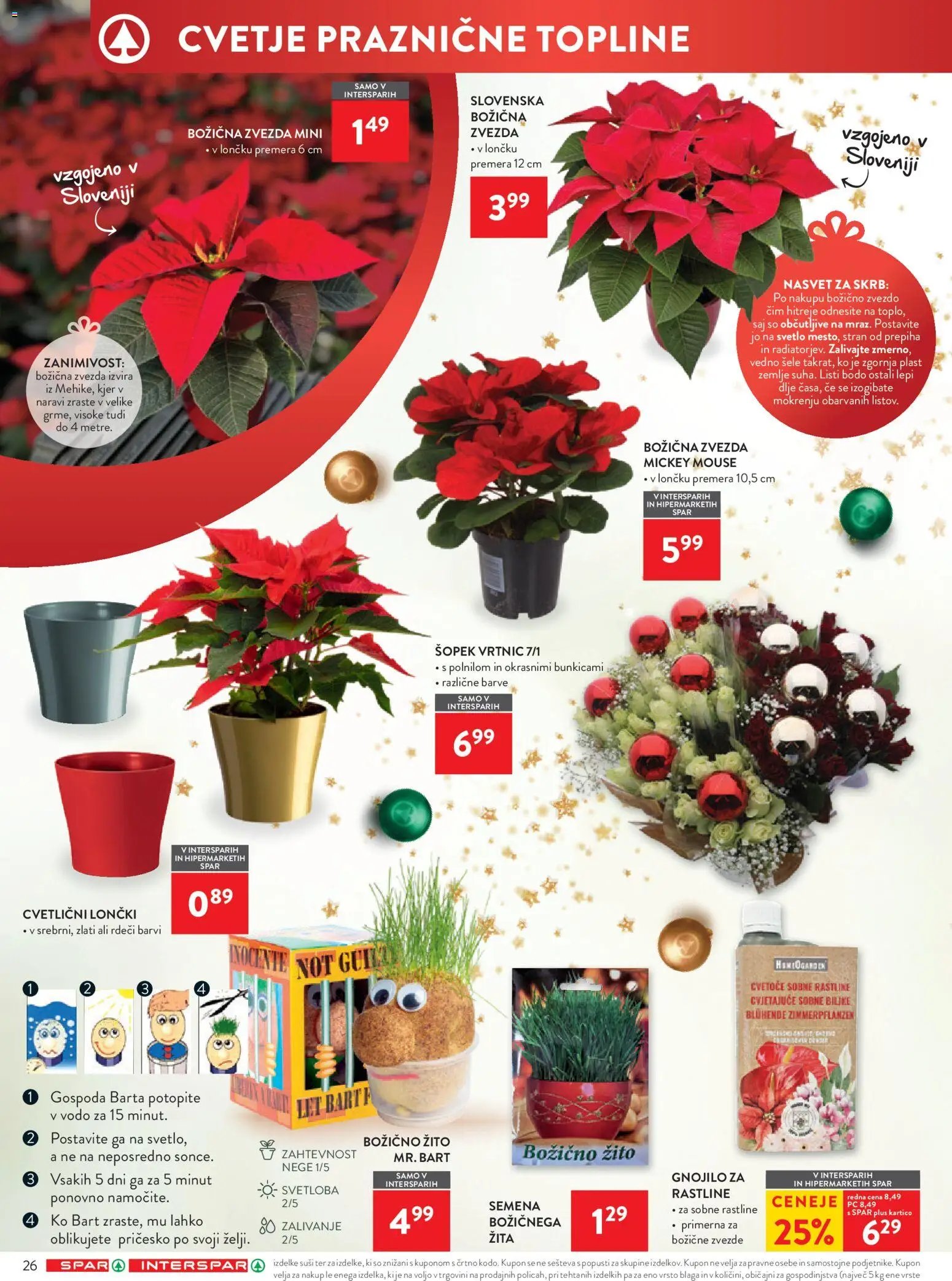 Spar katalog 46/25