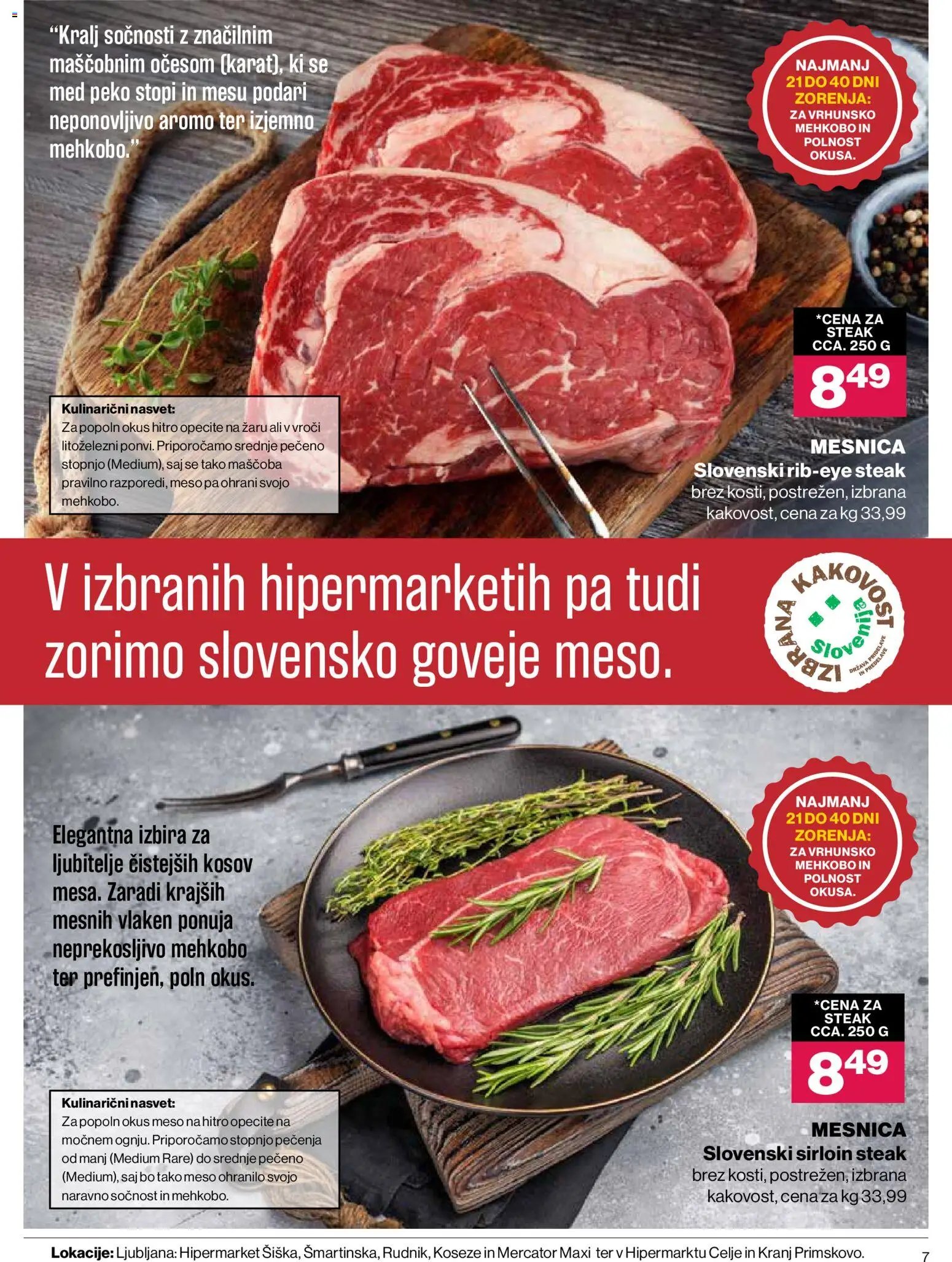Mercator katalog