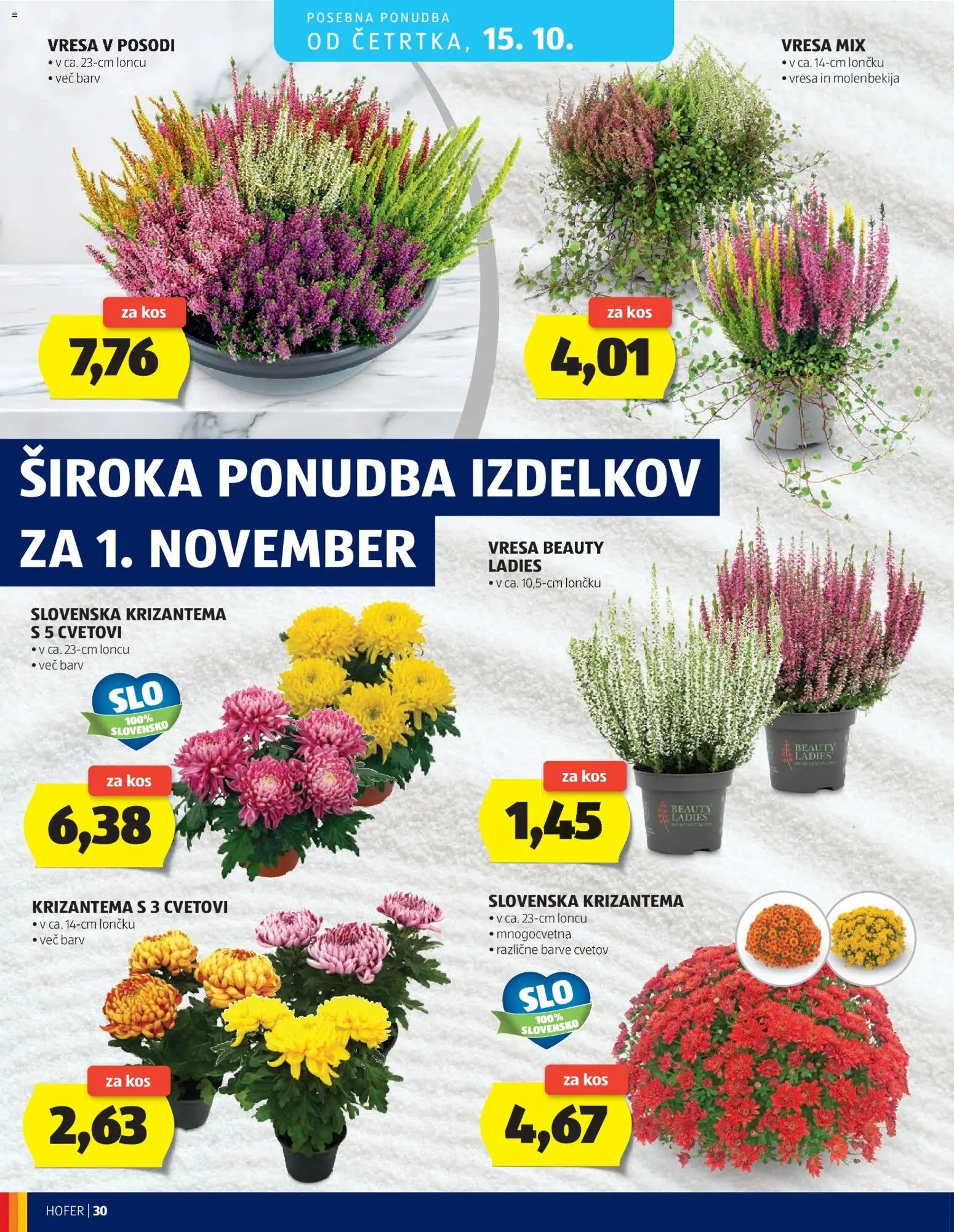 Hofer katalog