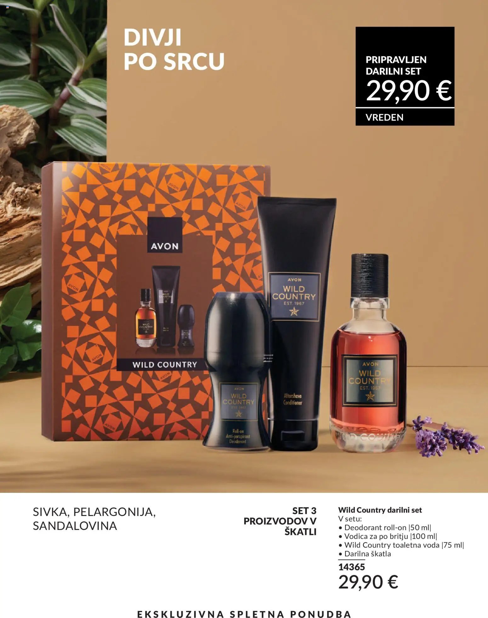 Avon katalog