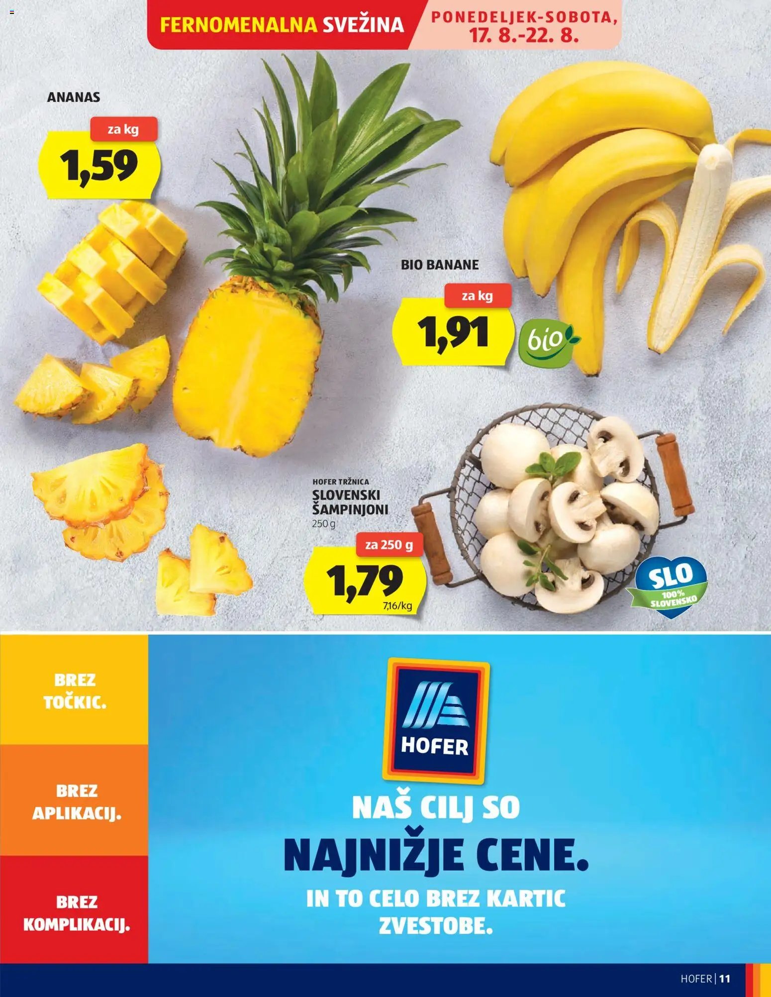 Hofer katalog