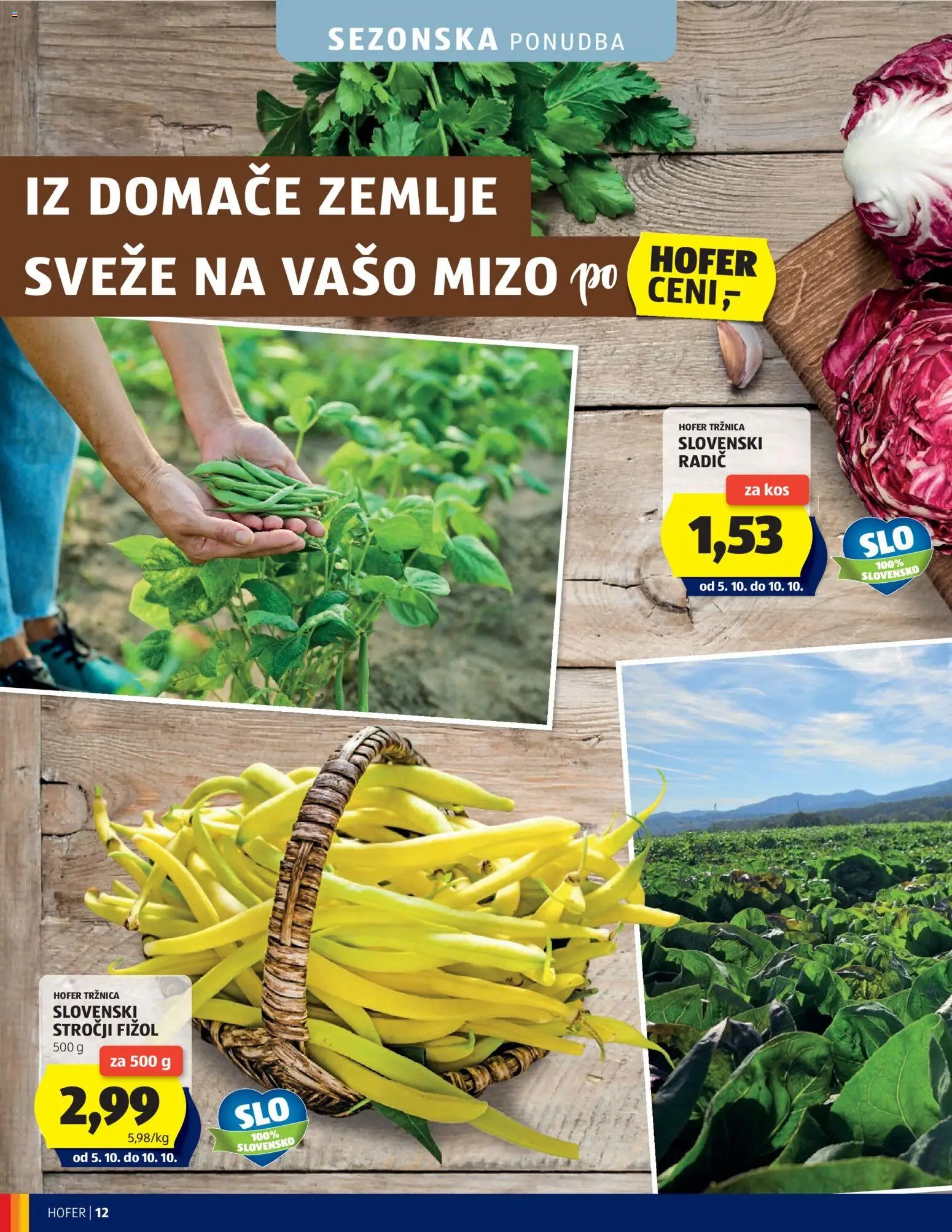Hofer katalog