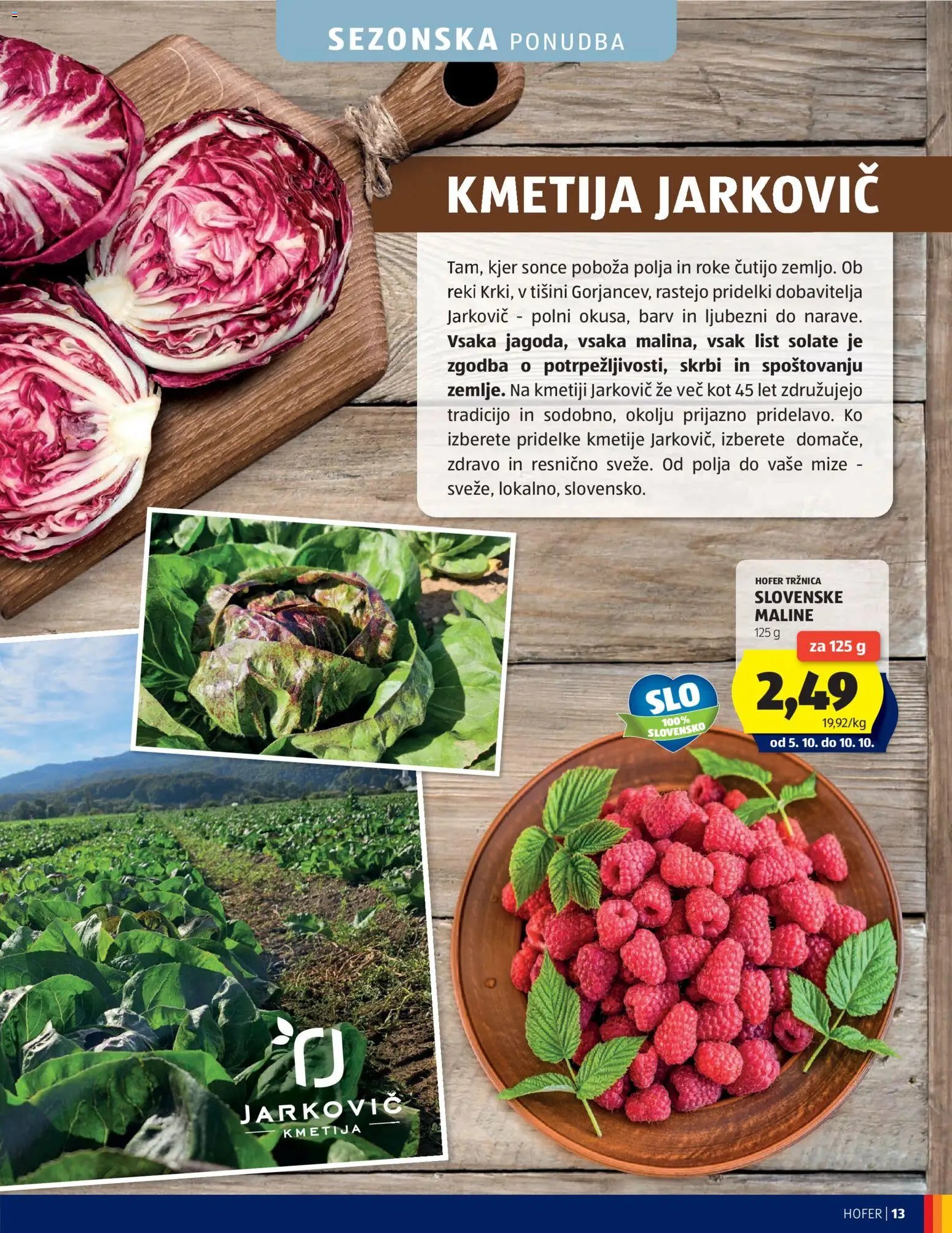 Hofer katalog