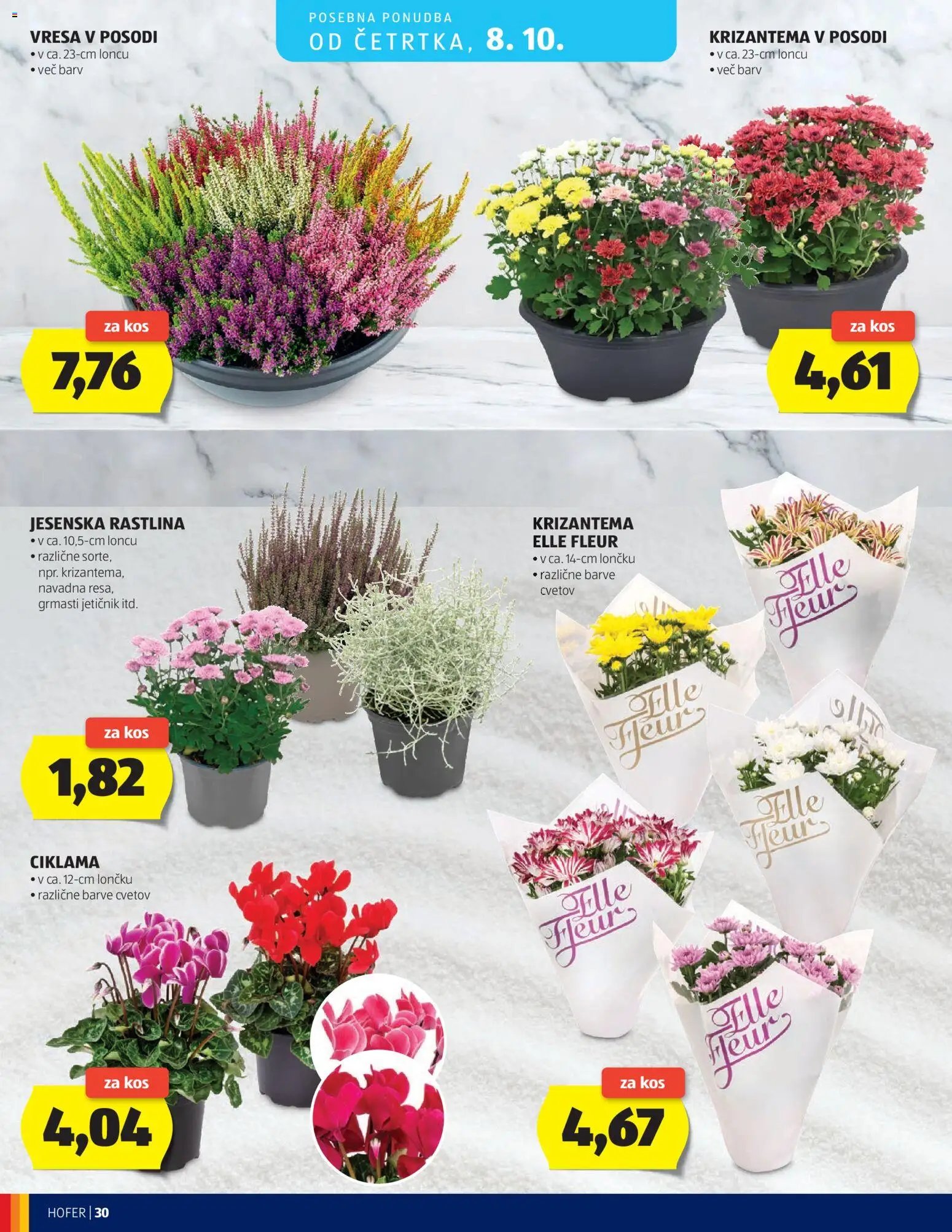 Hofer katalog