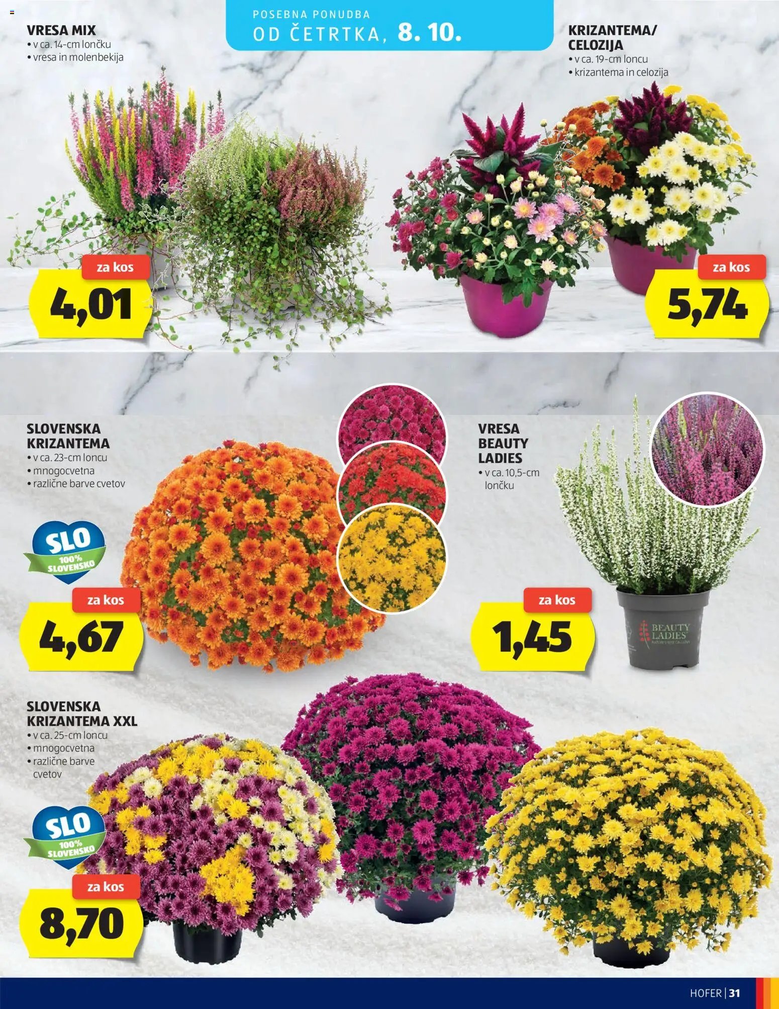 Hofer katalog