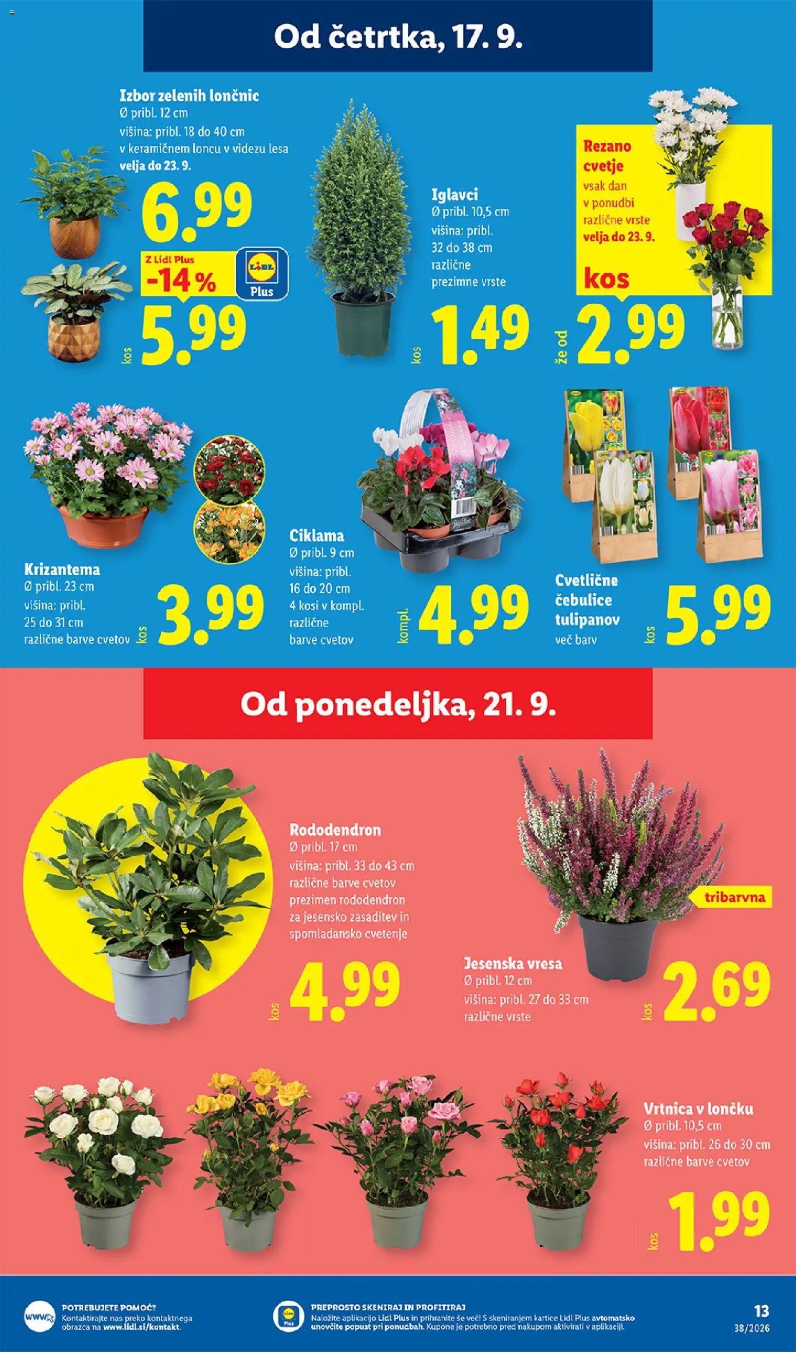 Lidl katalog