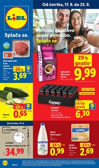 Lidl katalog