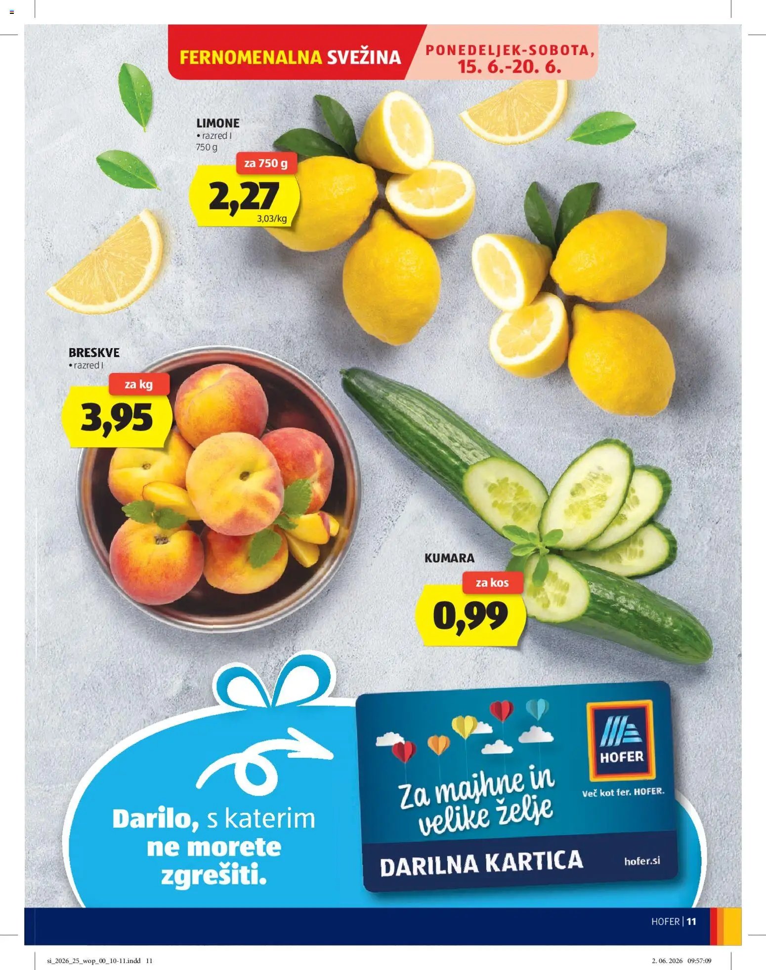 Hofer katalog