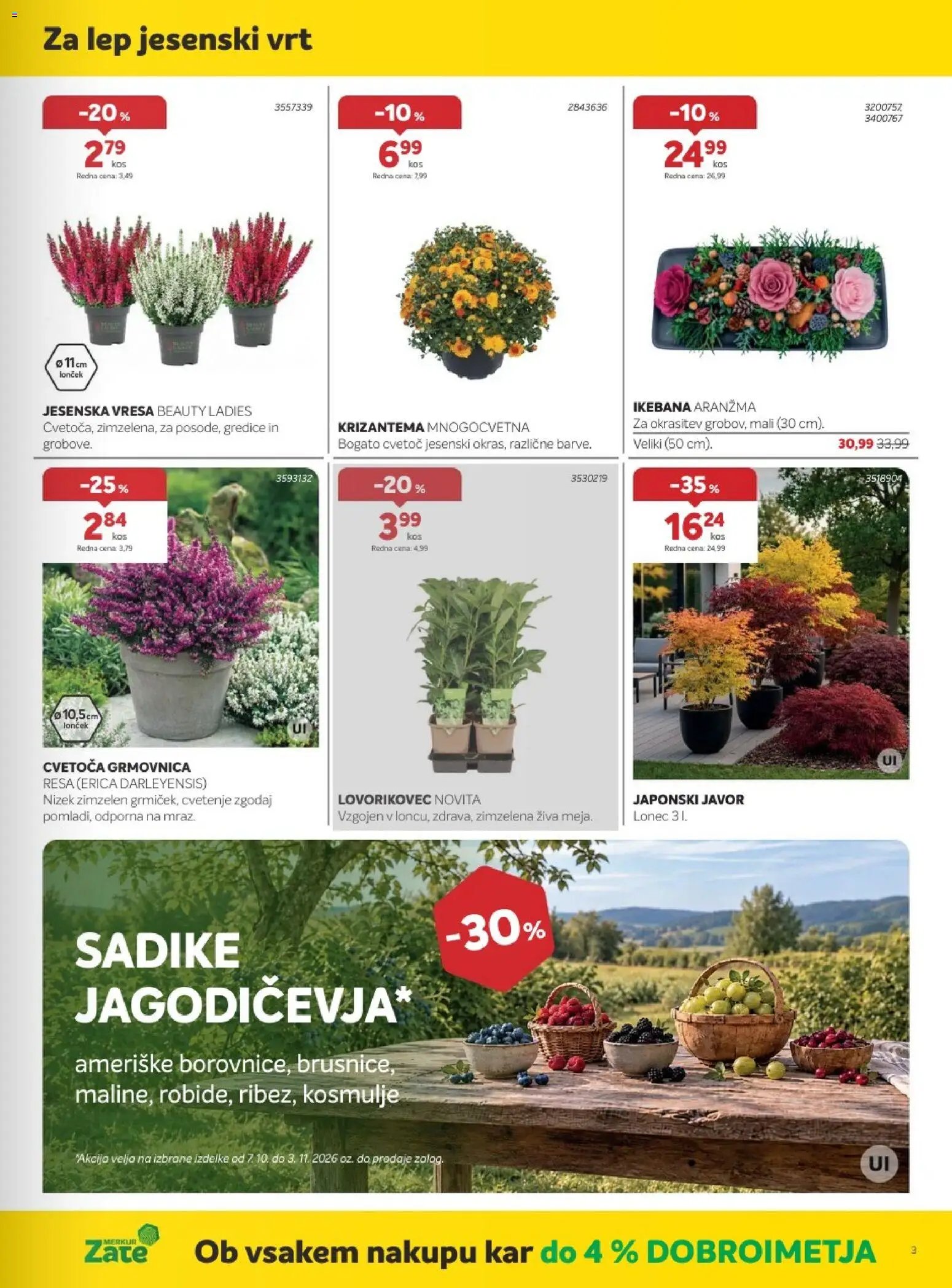 Merkur katalog