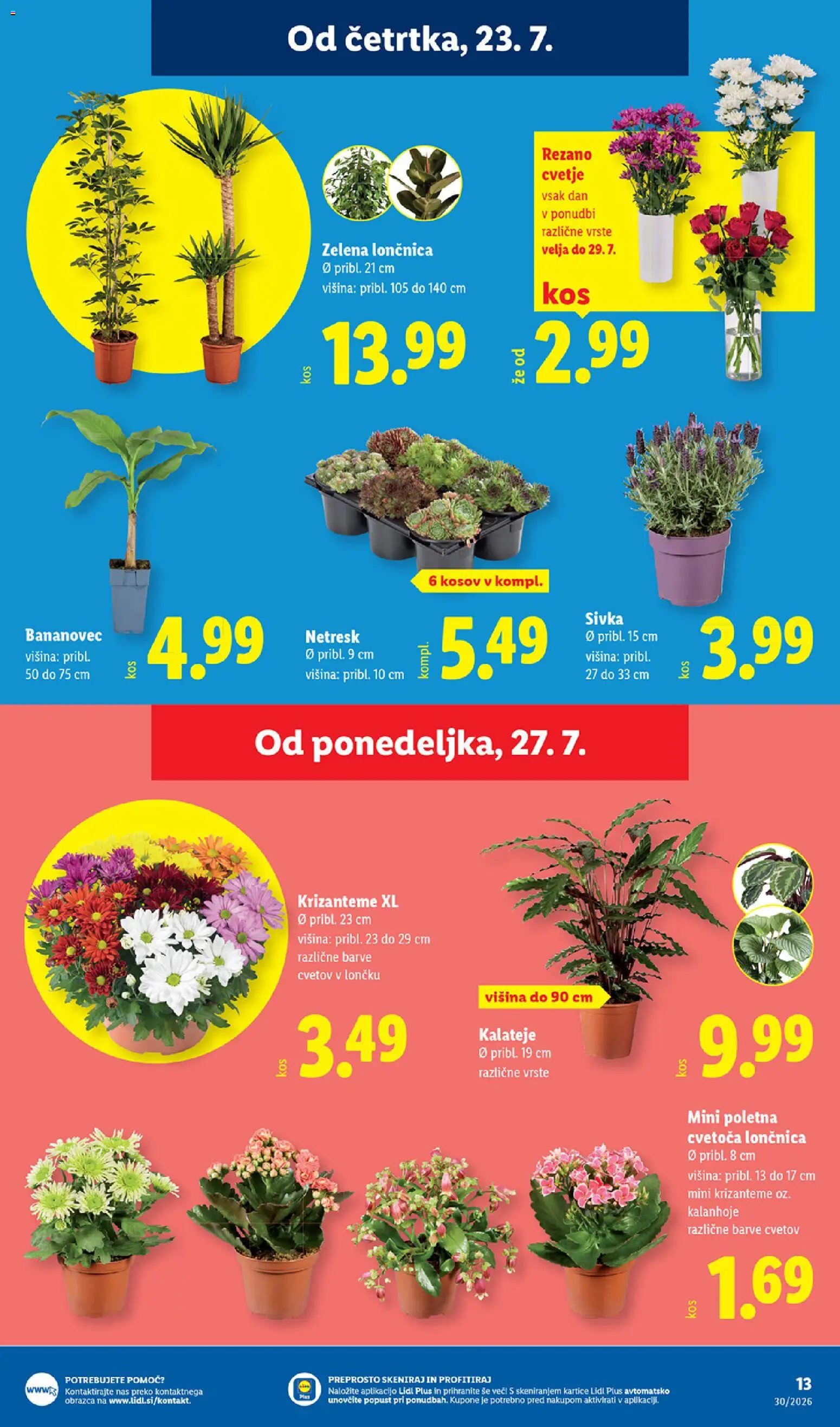 Lidl katalog