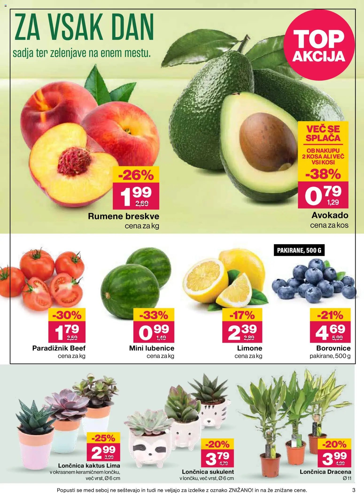 Mercator katalog