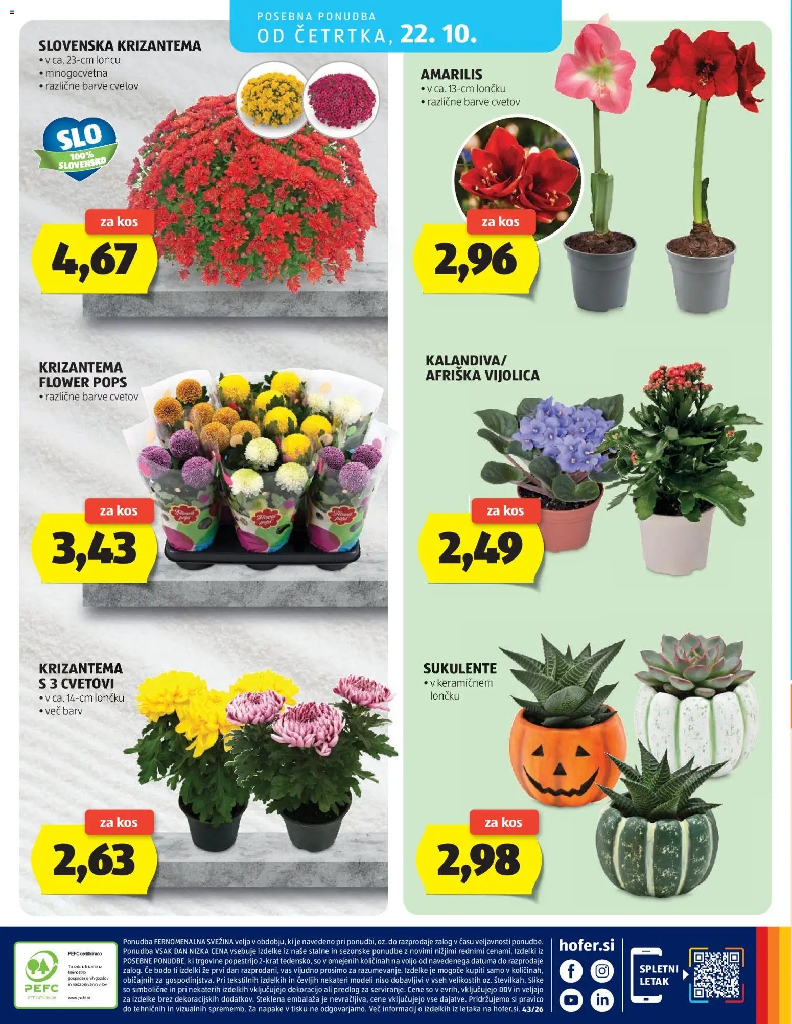 Hofer katalog