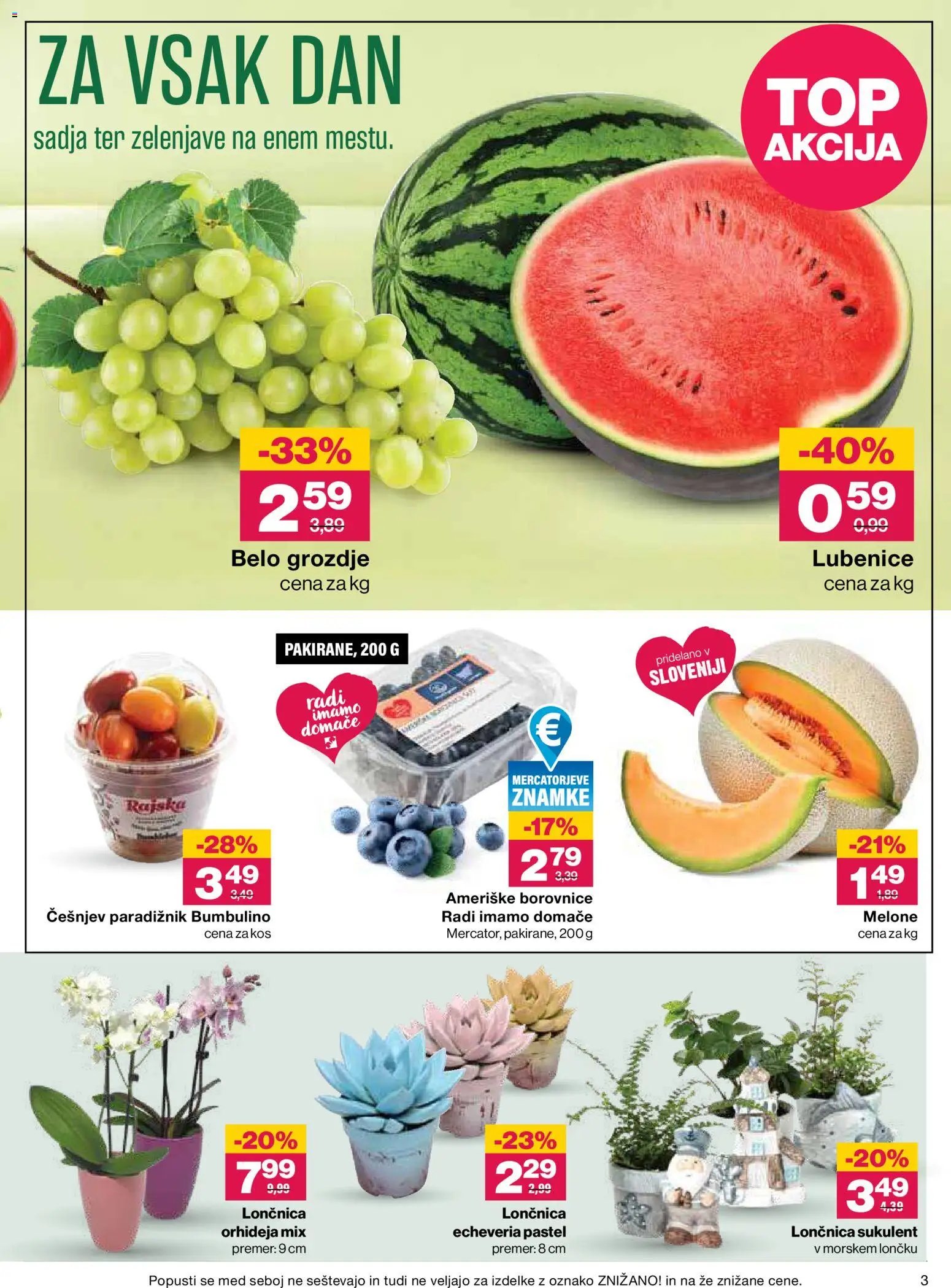 Mercator katalog