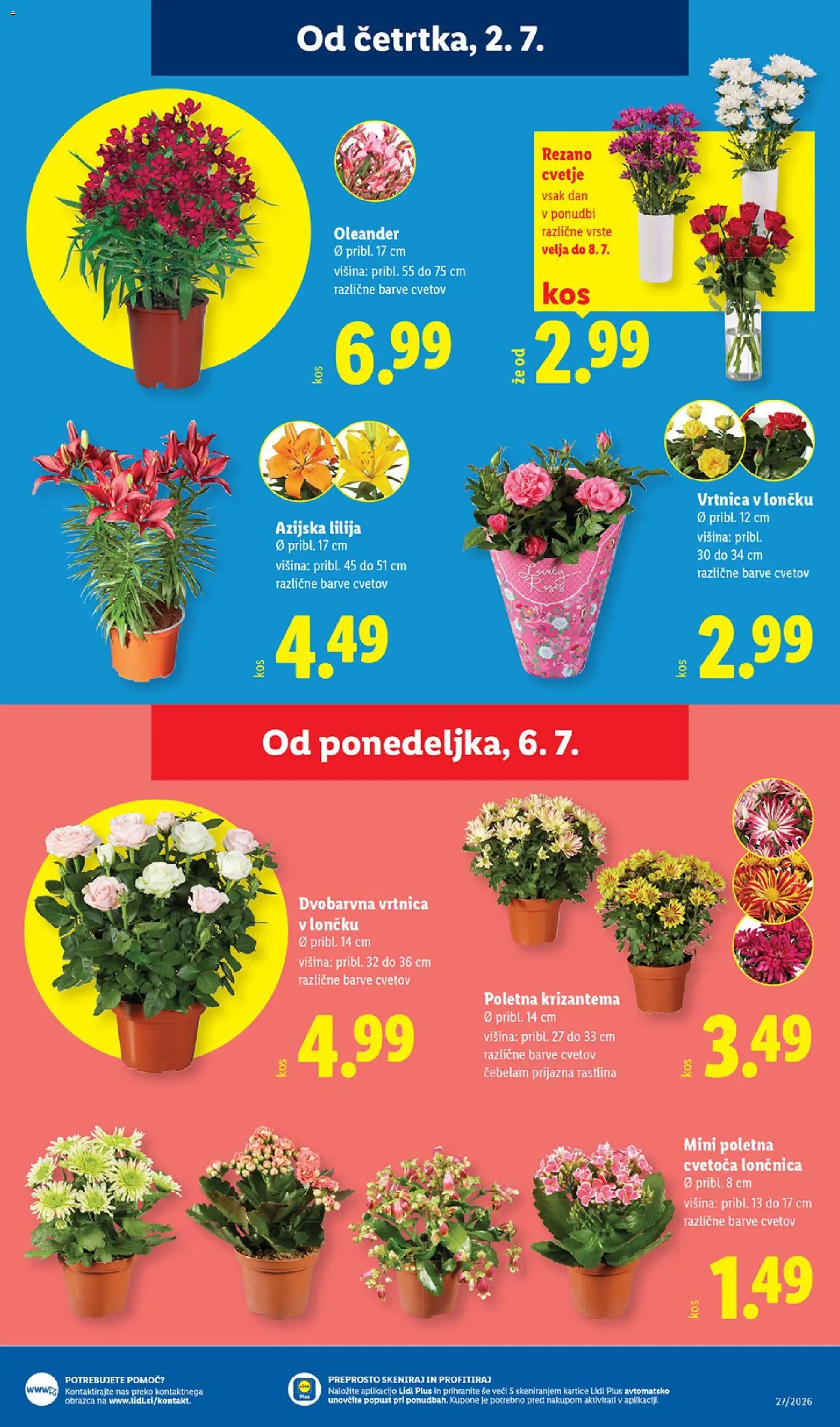Lidl katalog