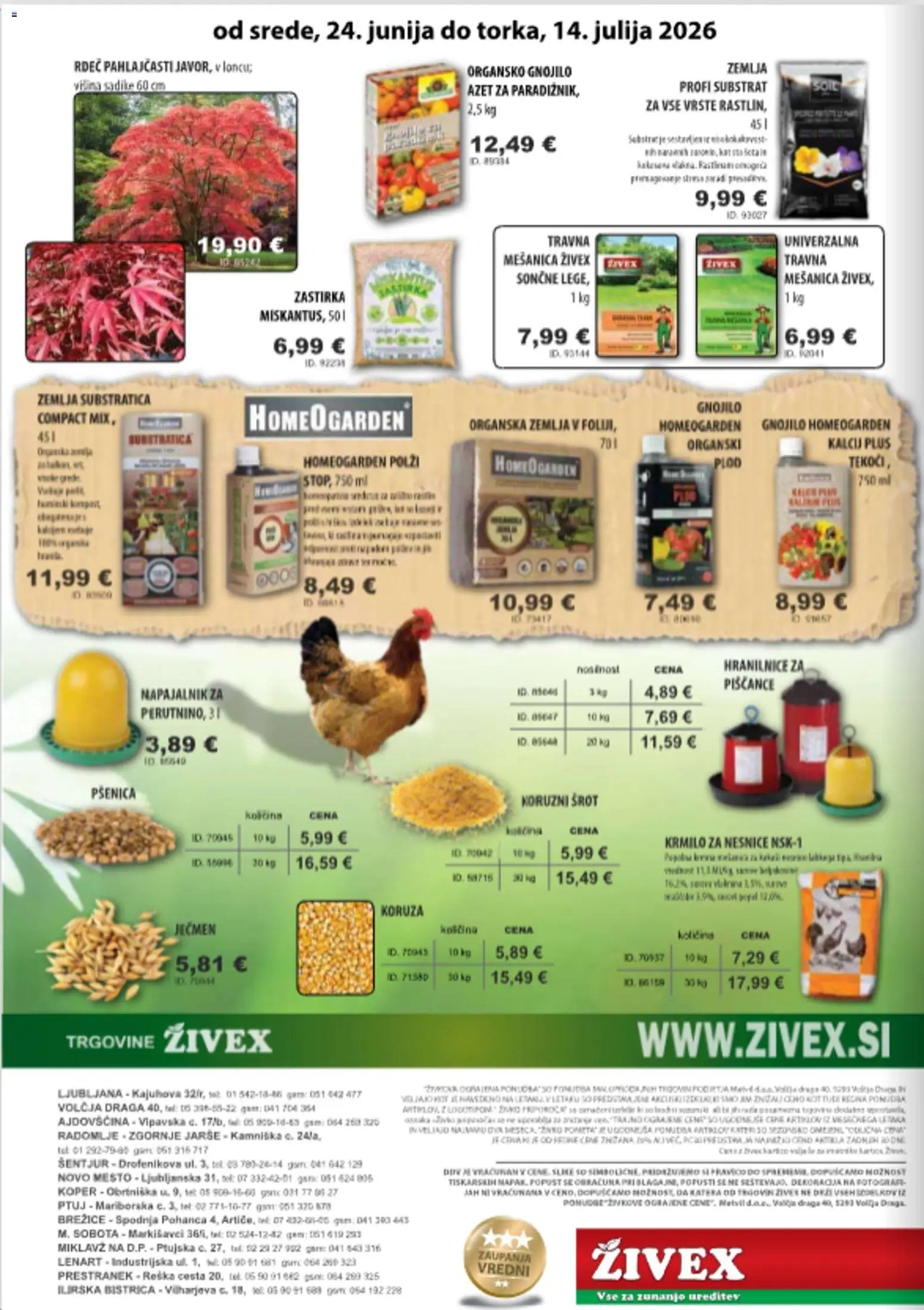 Živex katalog