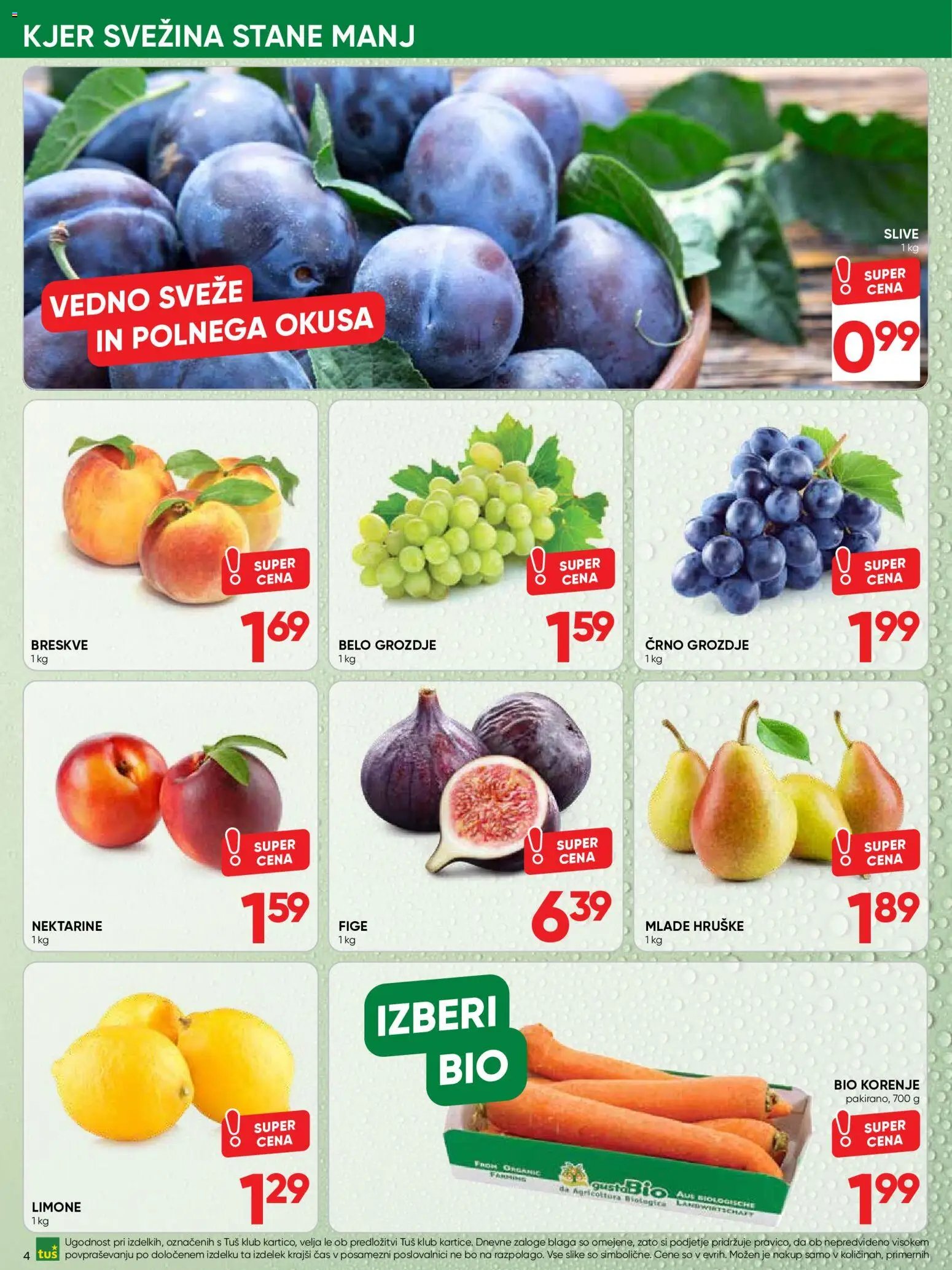 Tuš katalog