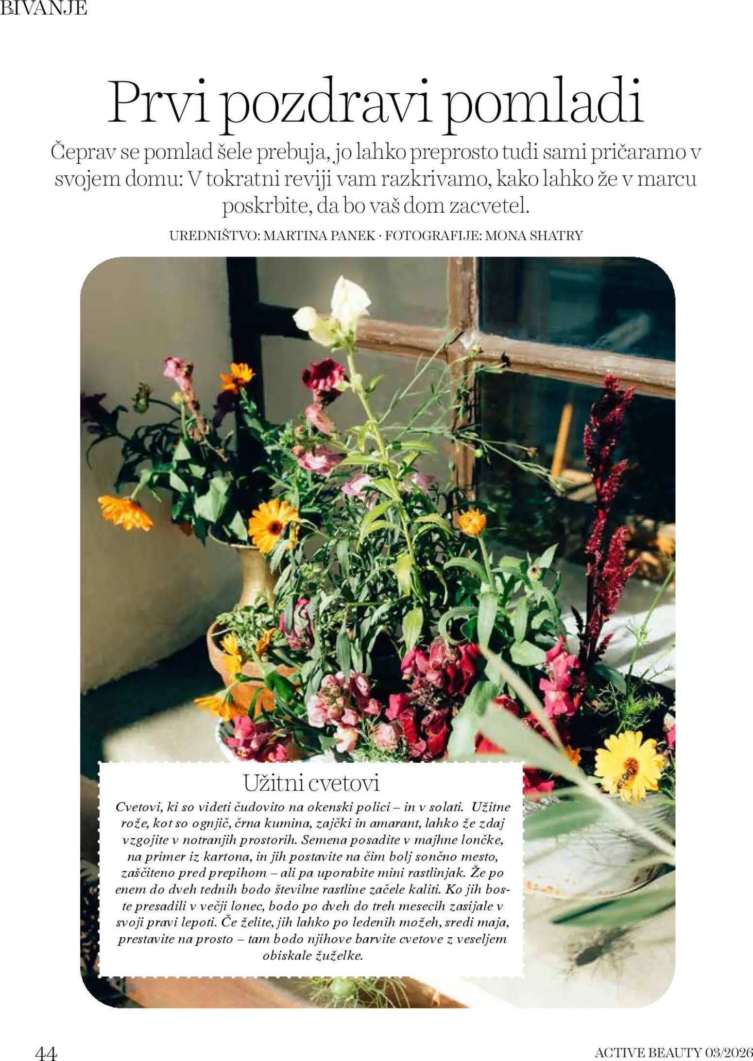 DM Drogerie Markt katalog beauty (2026-03-01 - 2026-03-31)