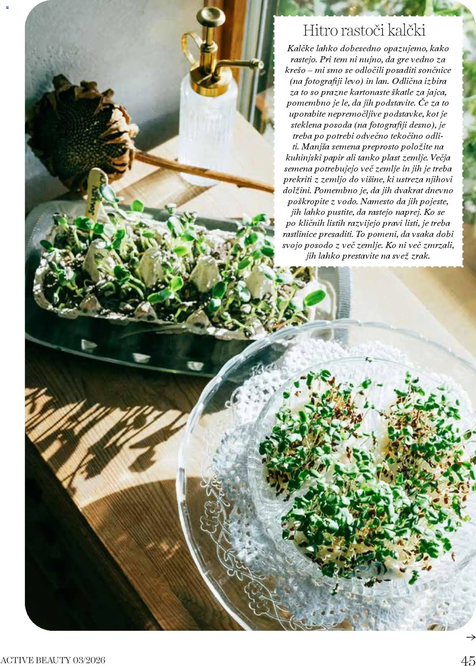 DM Drogerie Markt katalog beauty (2026-03-01 - 2026-03-31)