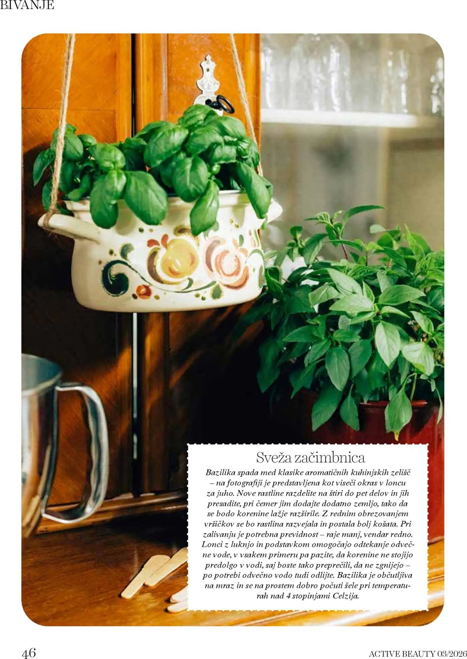 DM Drogerie Markt katalog beauty (2026-03-01 - 2026-03-31)