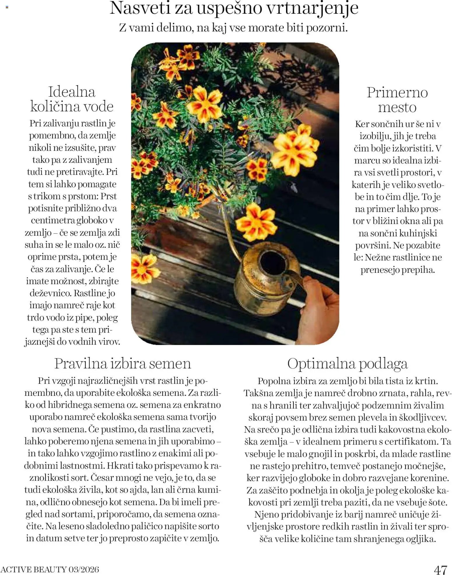 DM Drogerie Markt katalog beauty (2026-03-01 - 2026-03-31)